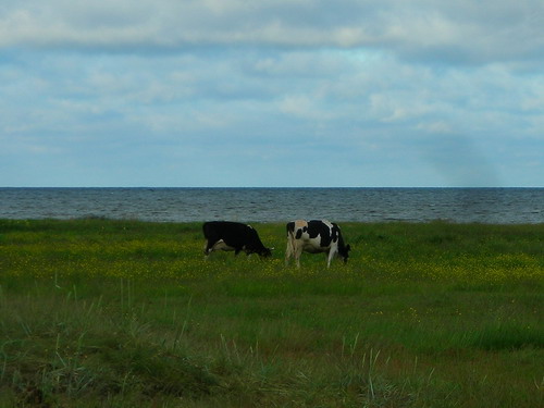DSCN2196.jpg