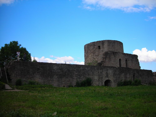 DSCN2239.jpg