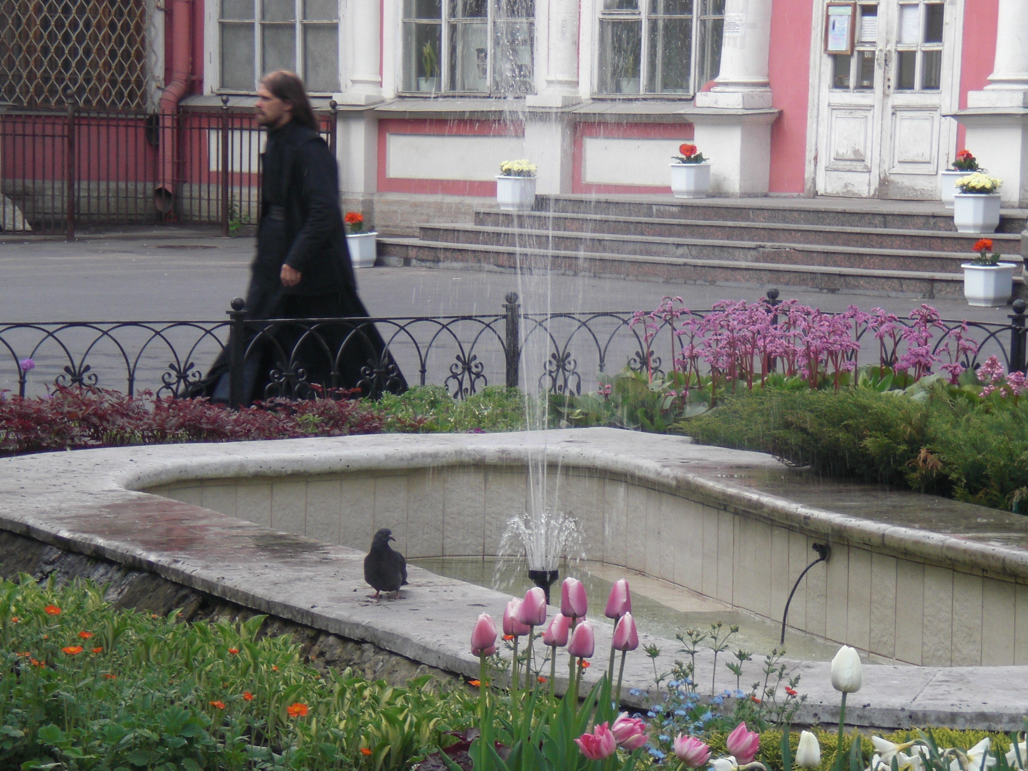 CIMG0320.JPG