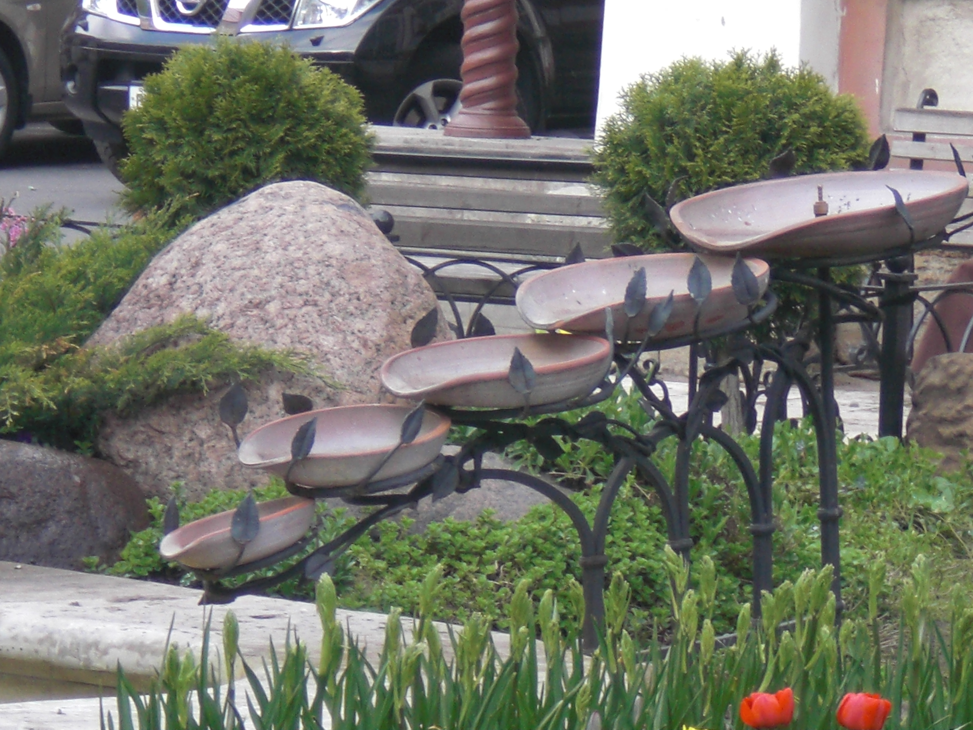 CIMG0319.JPG