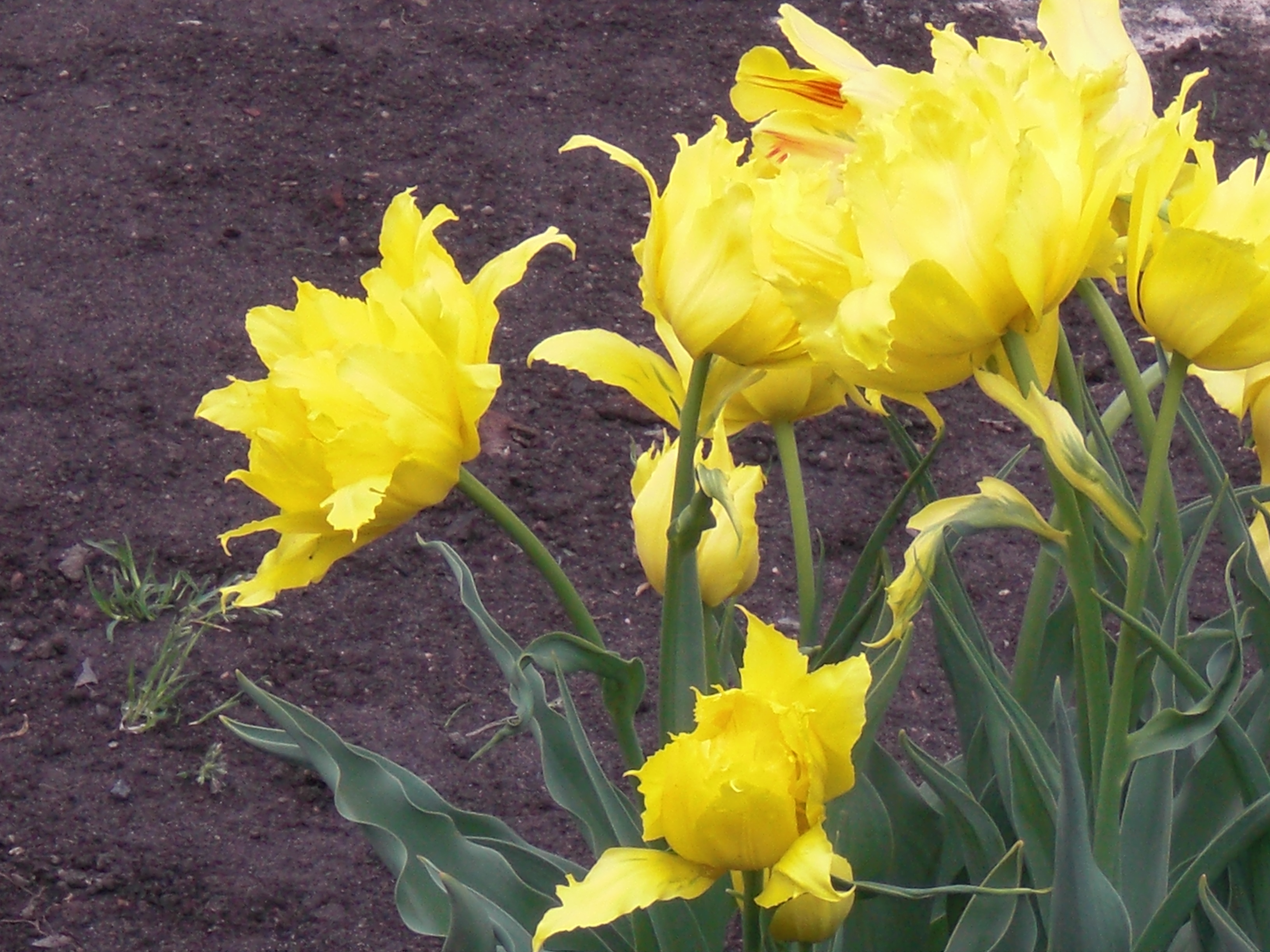 CIMG0318.JPG