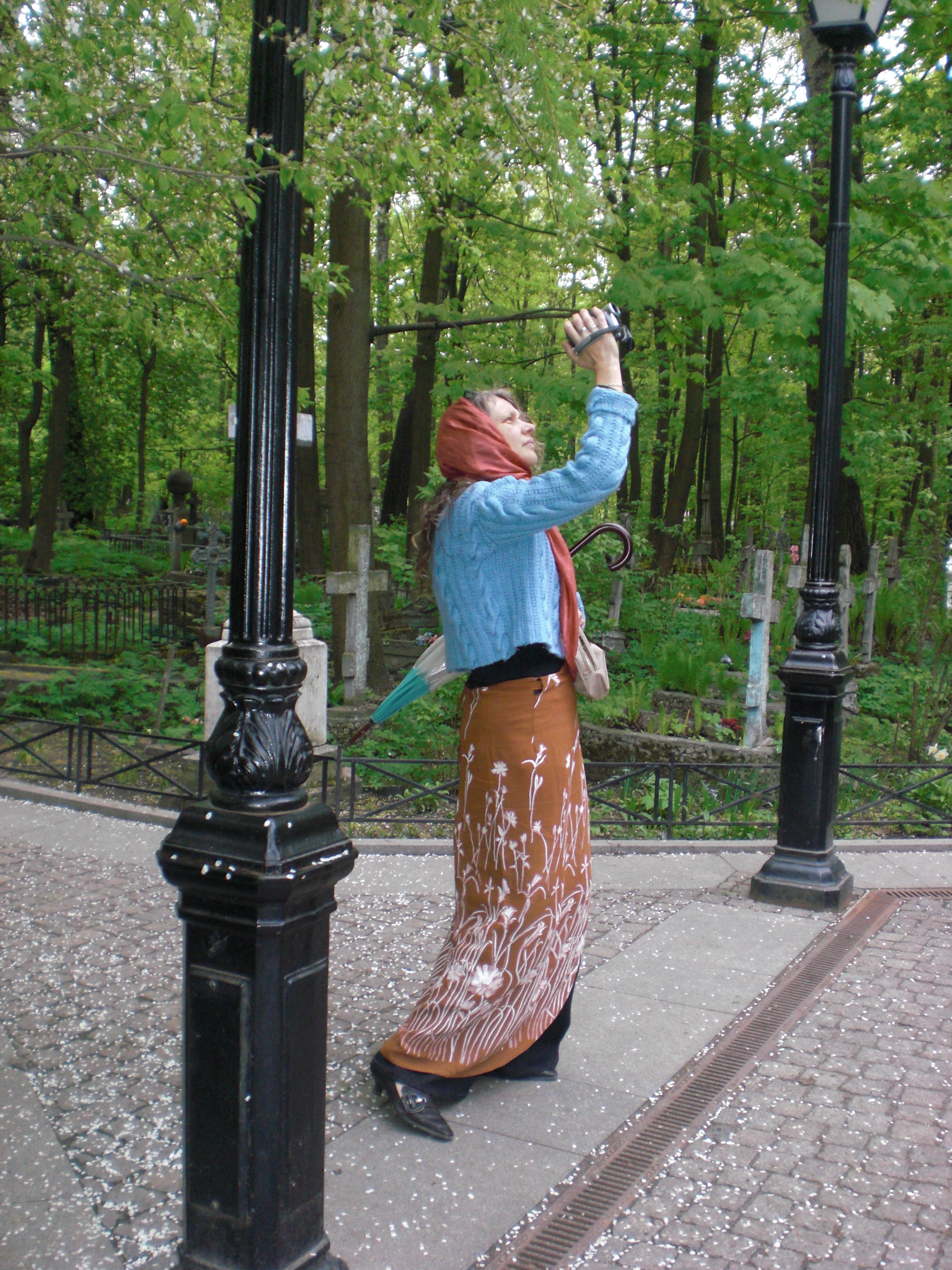 CIMG0346.JPG