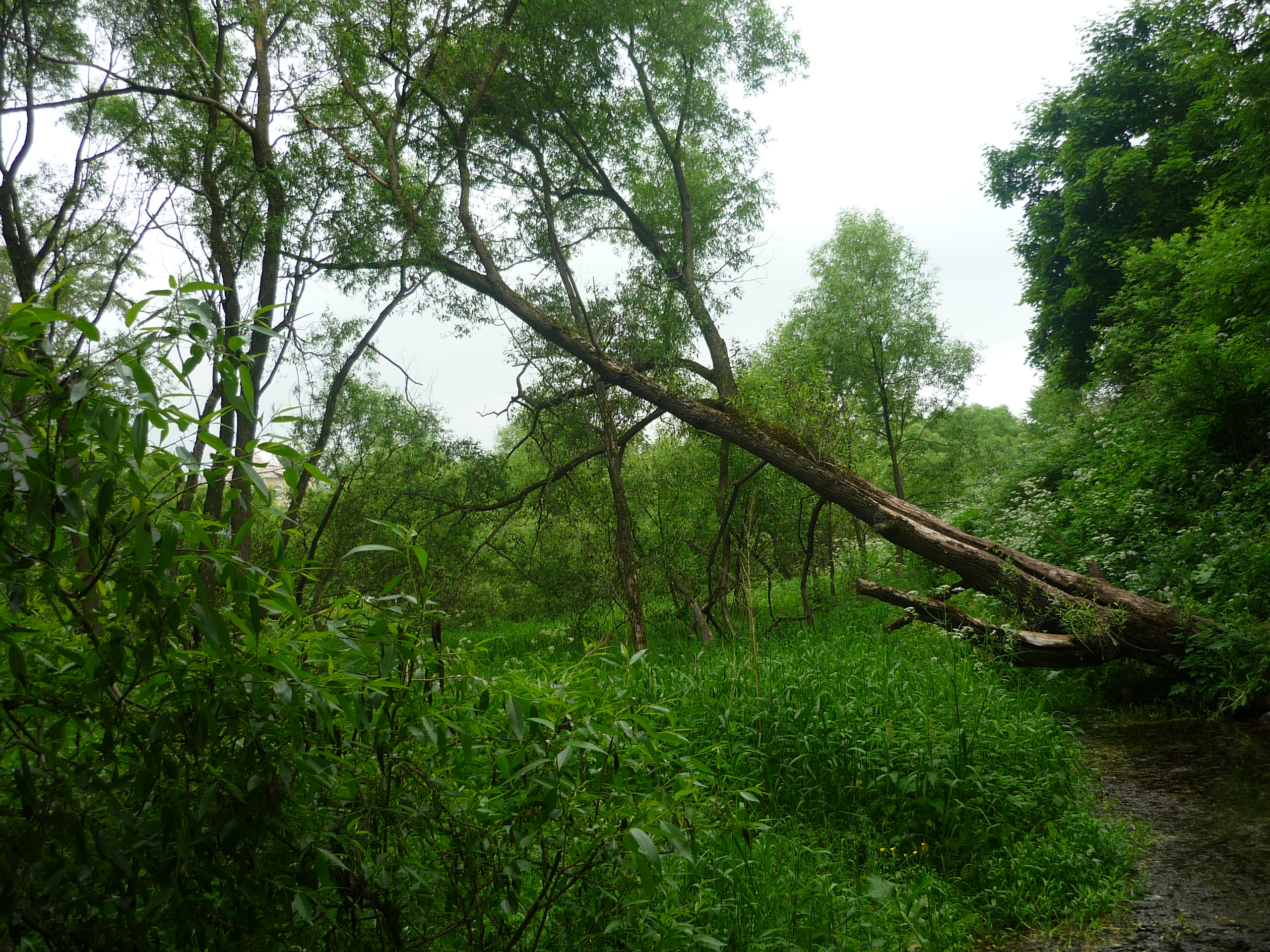 P1020845.JPG