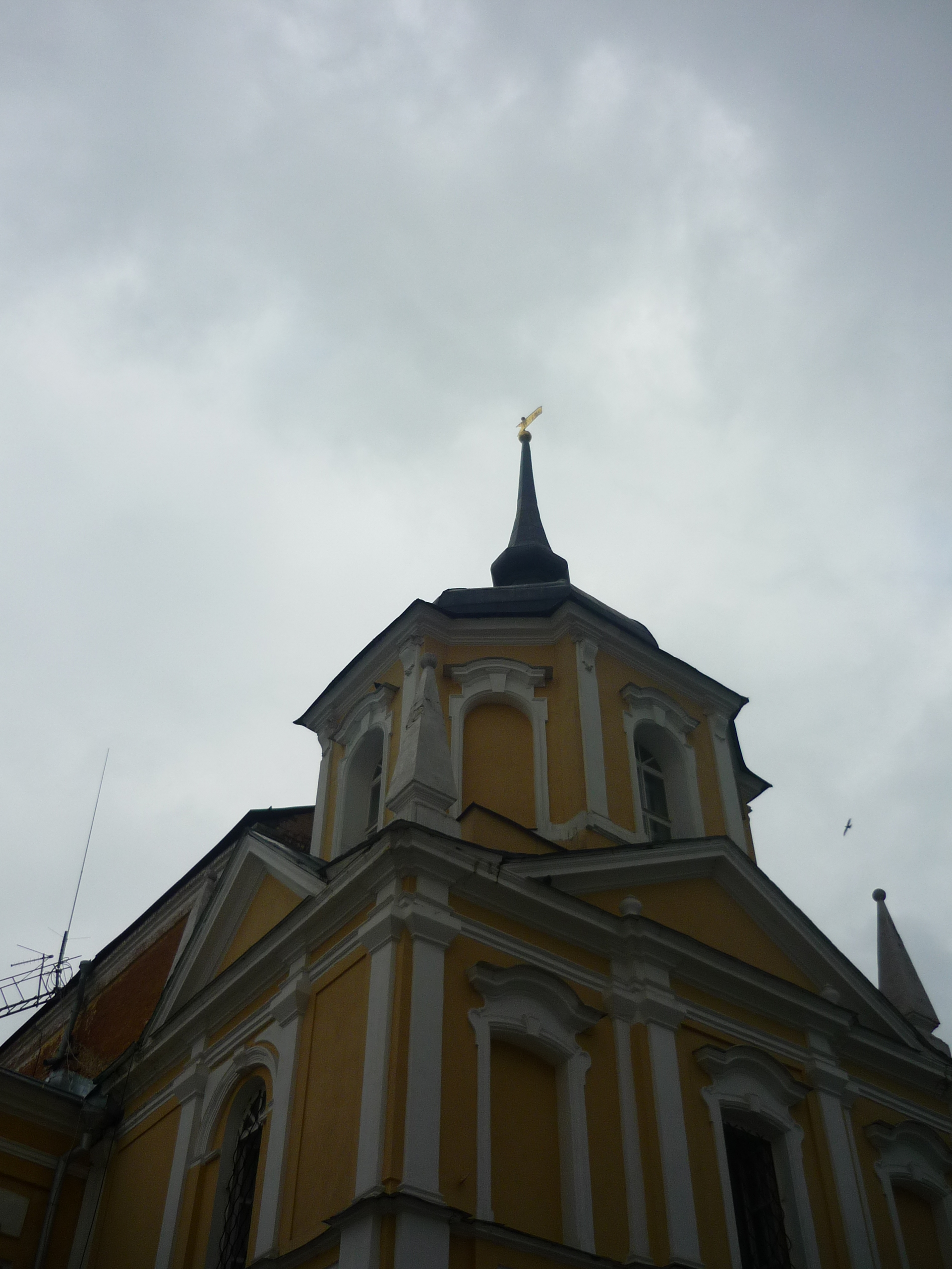 P1020831.JPG