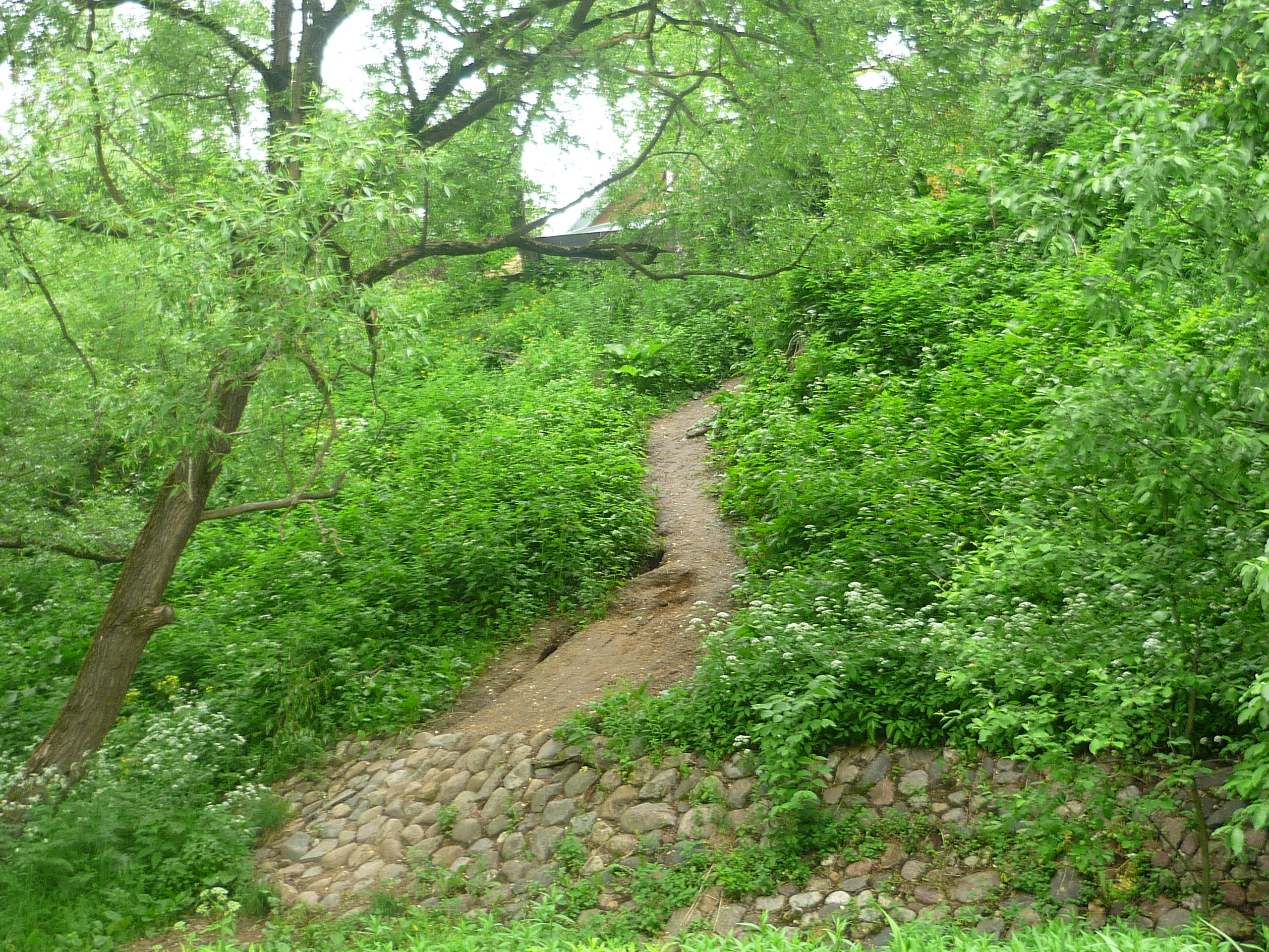 P1020843.JPG