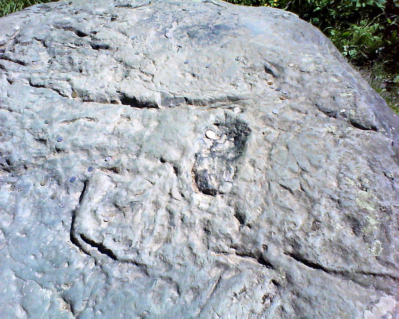 DSC04216.JPG