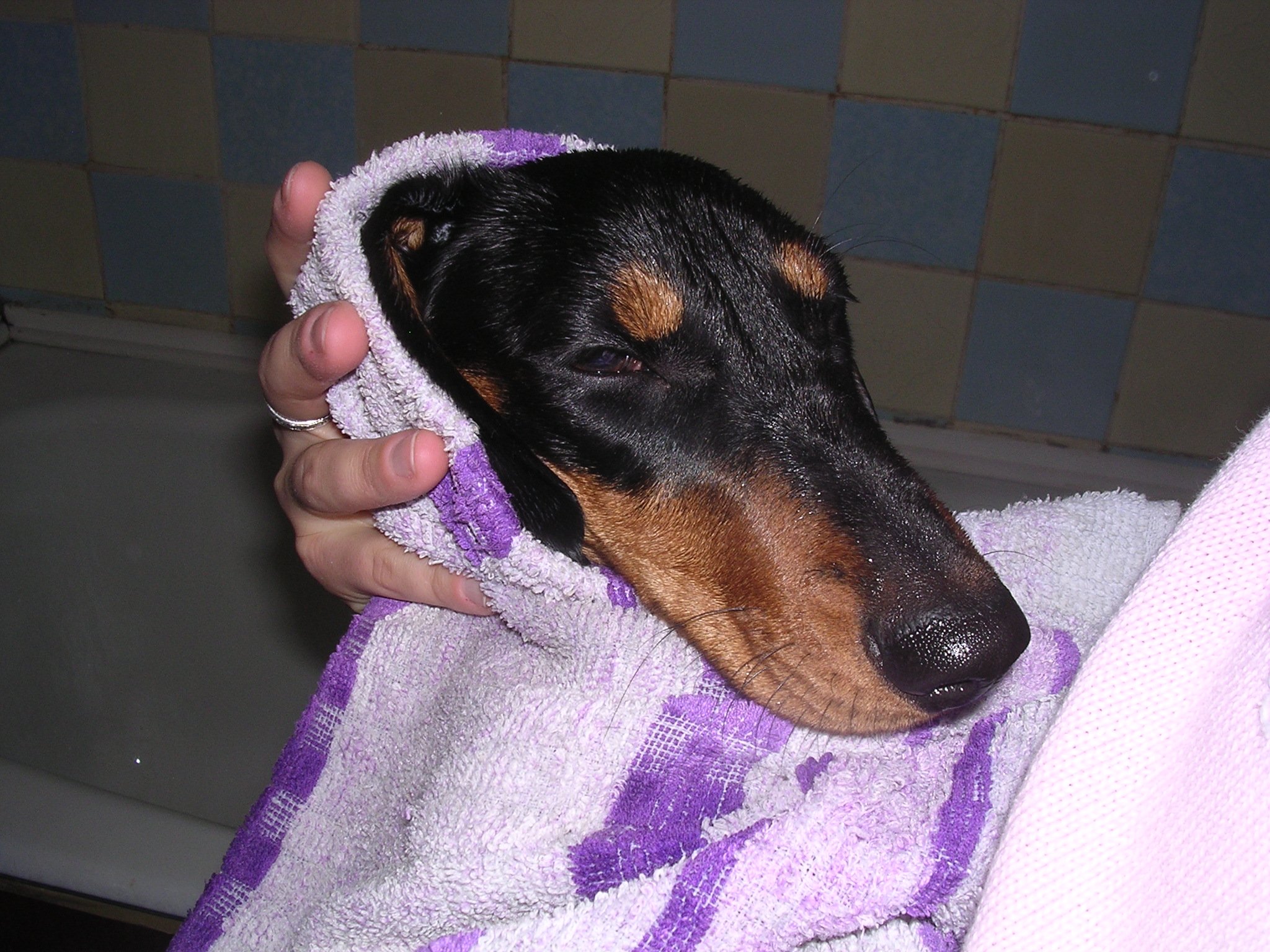 DSCN1239.jpg