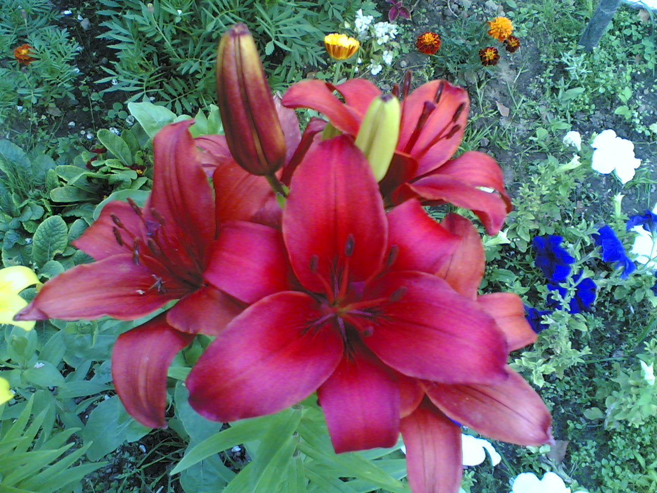 23072006_001_.jpg