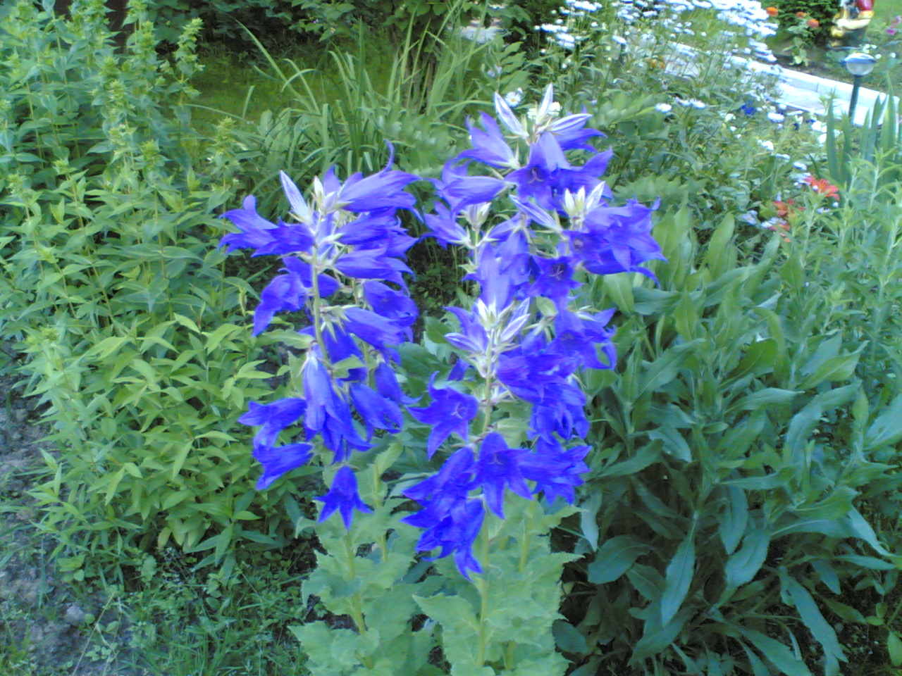 02072006_001_.jpg