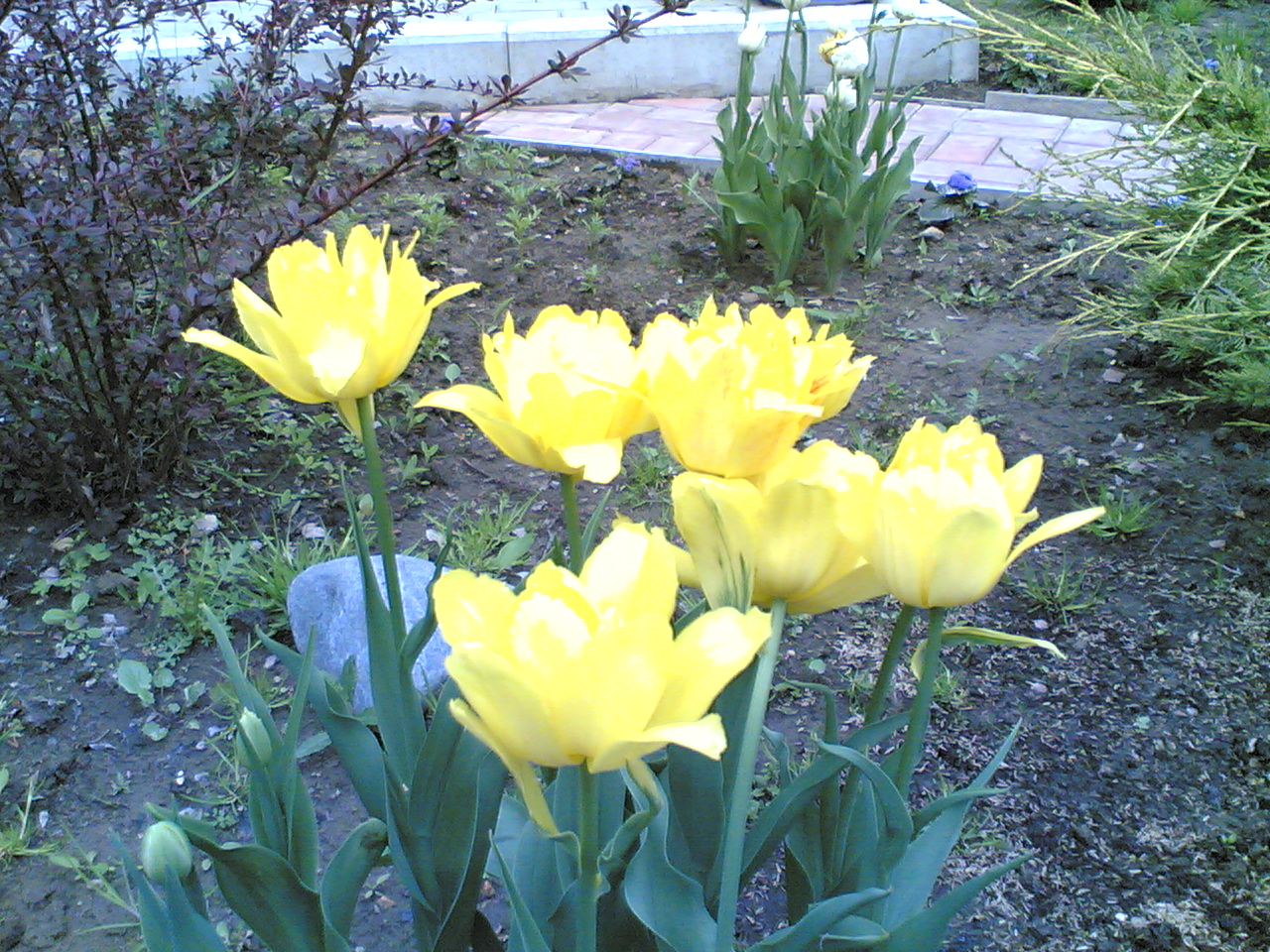 28052006.jpg