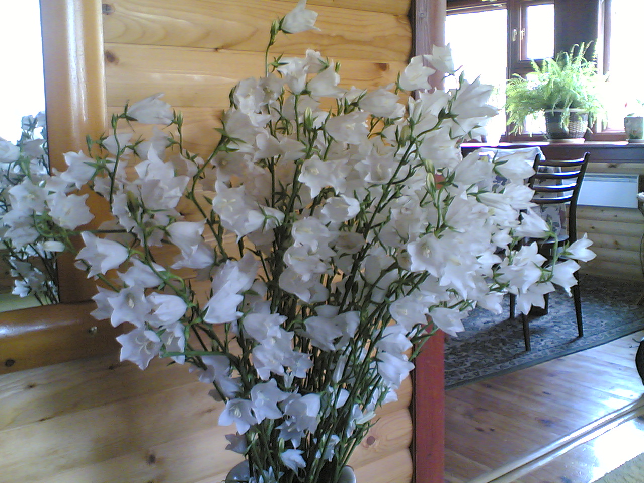 13052007.jpg