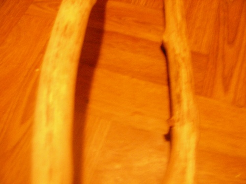 SANY0989.JPG
