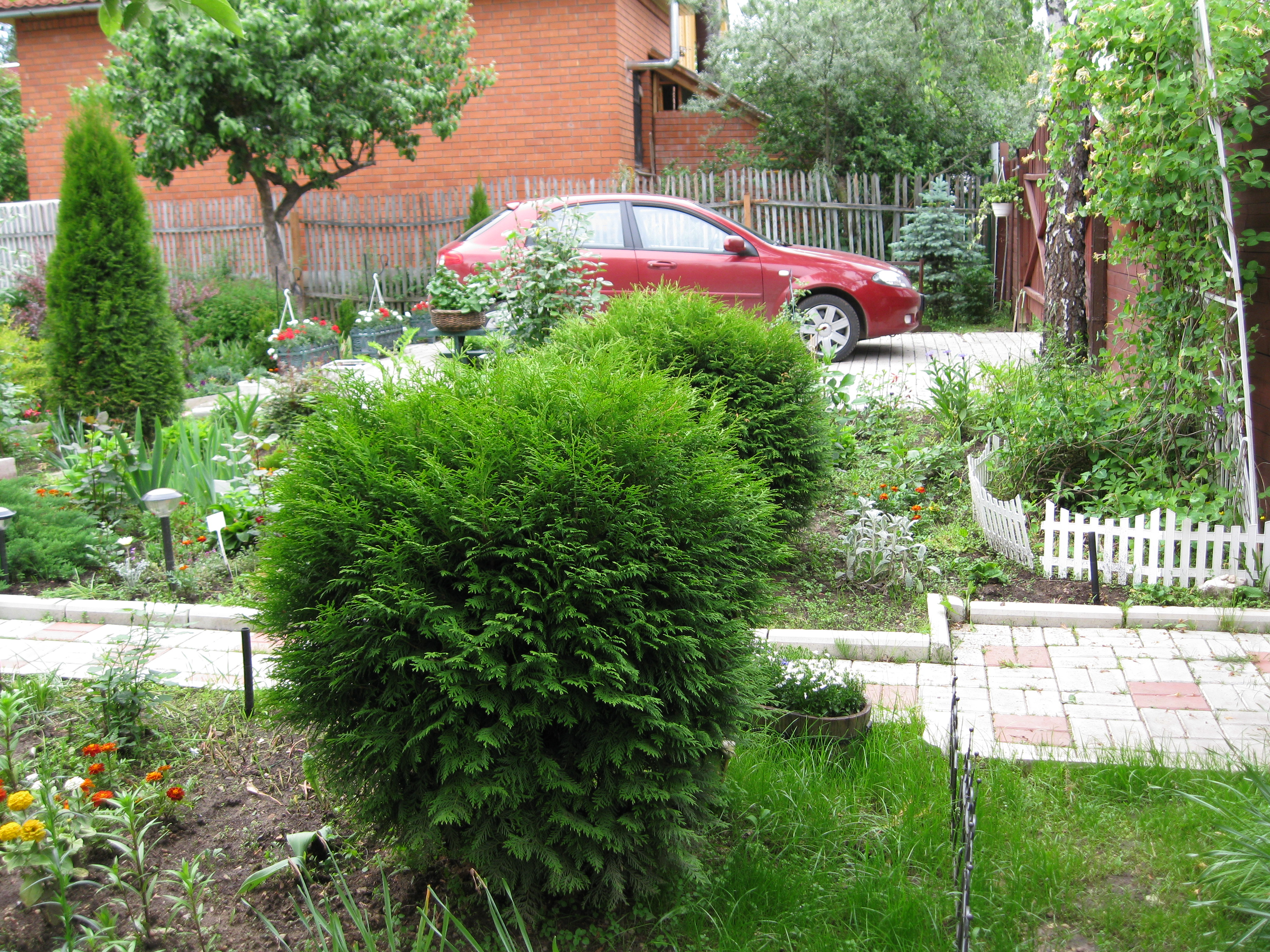 ____________025.jpg