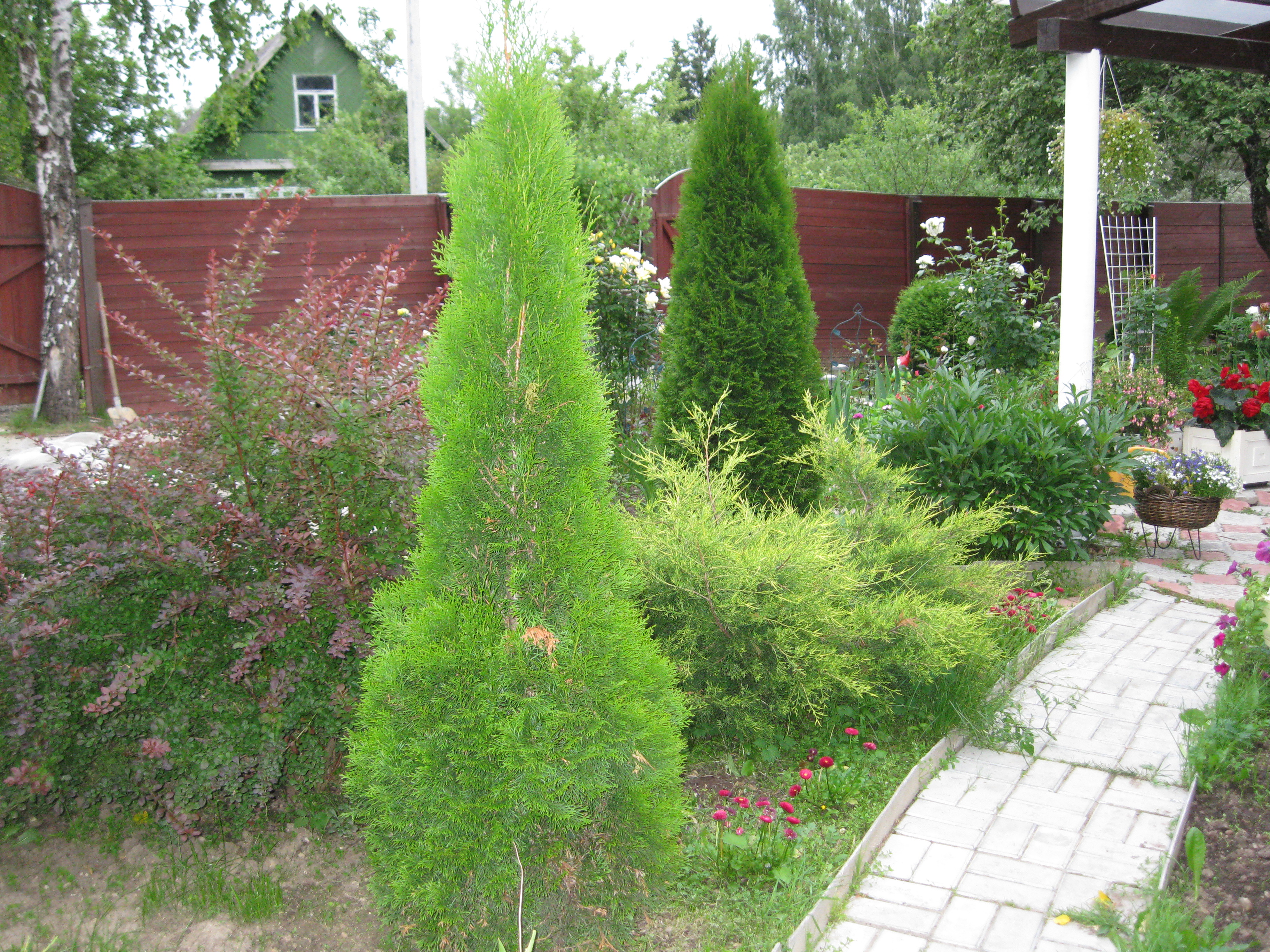 ____________047.jpg
