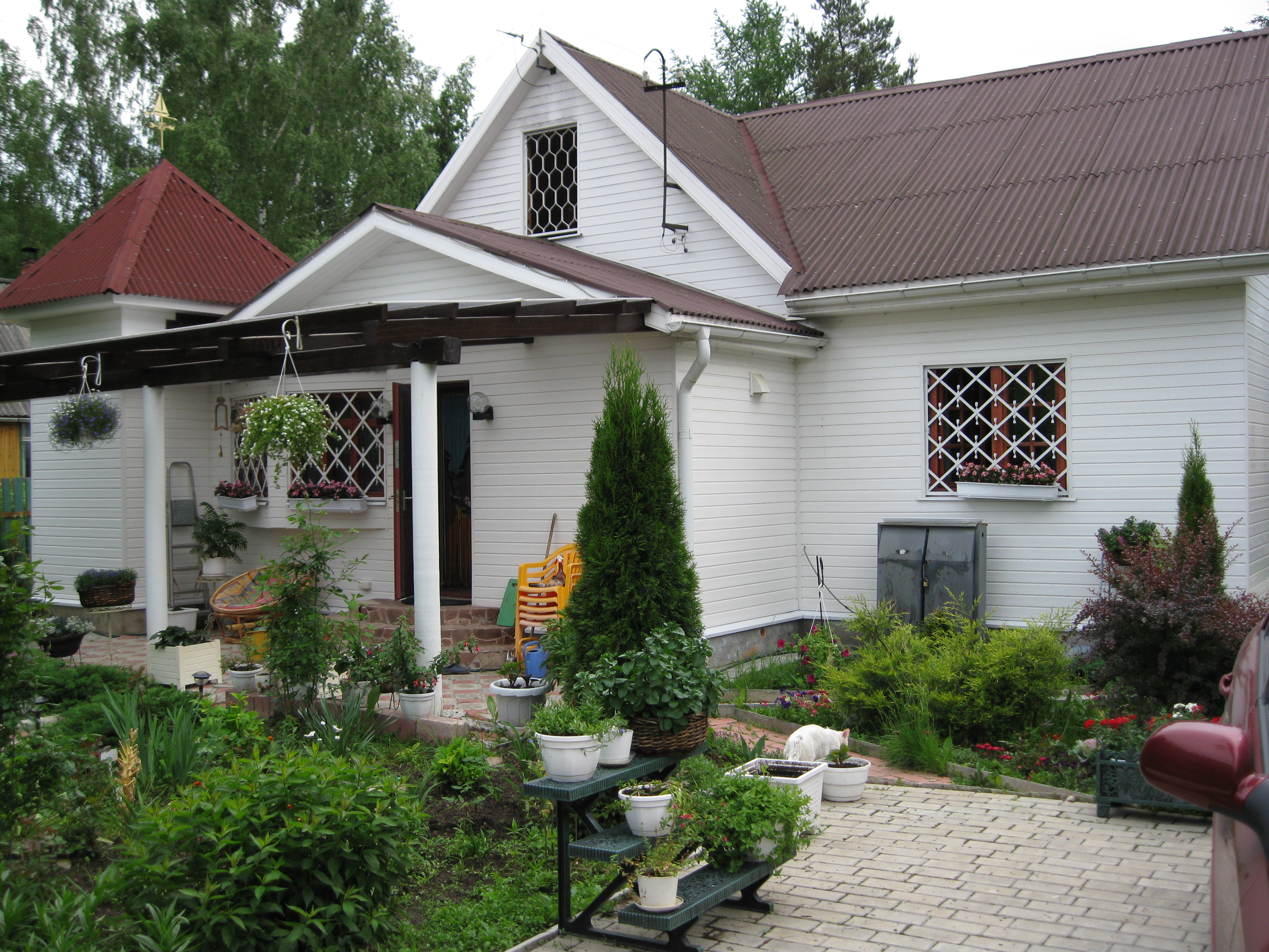 ____________019.jpg
