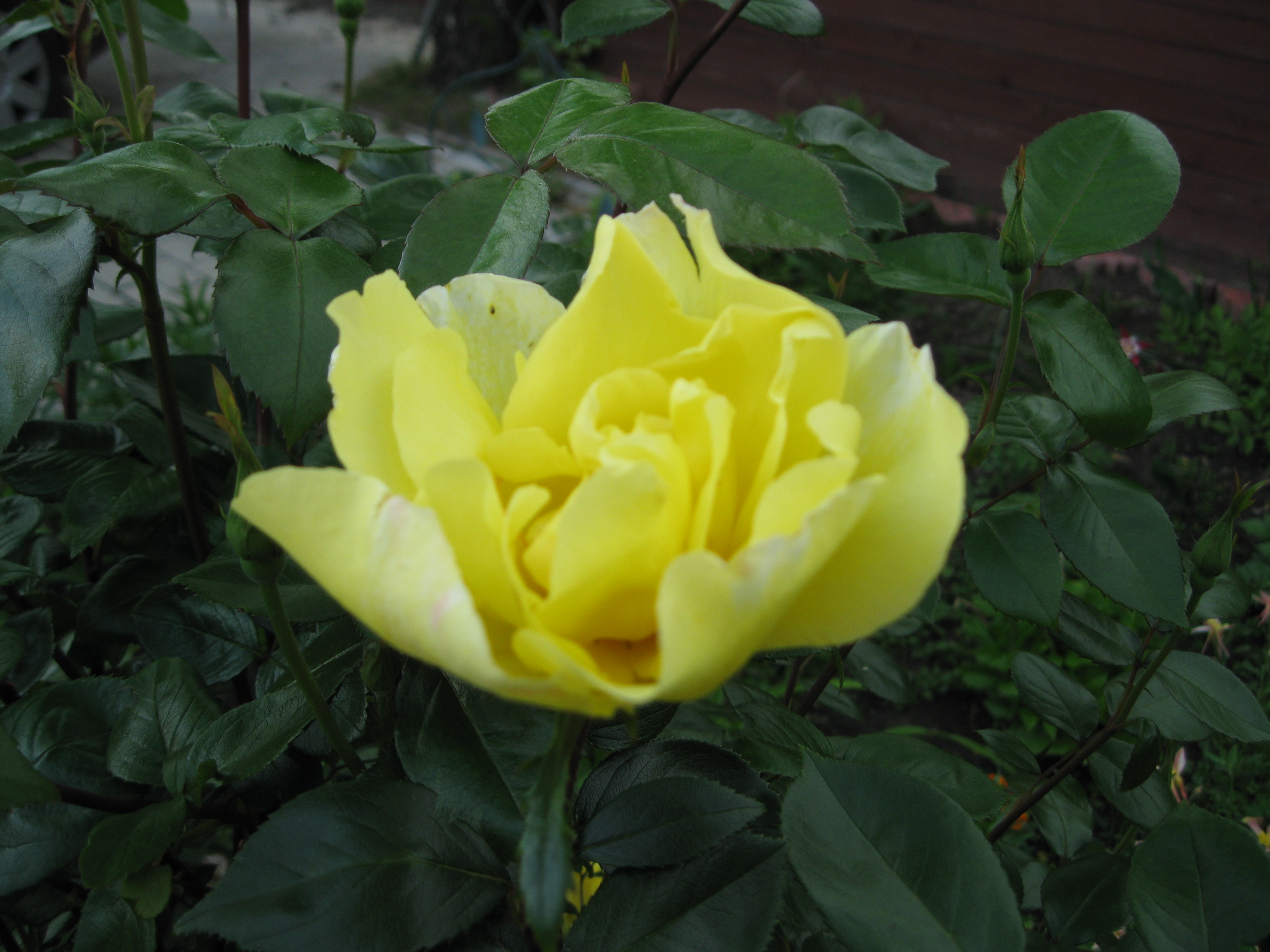 ____________032.jpg