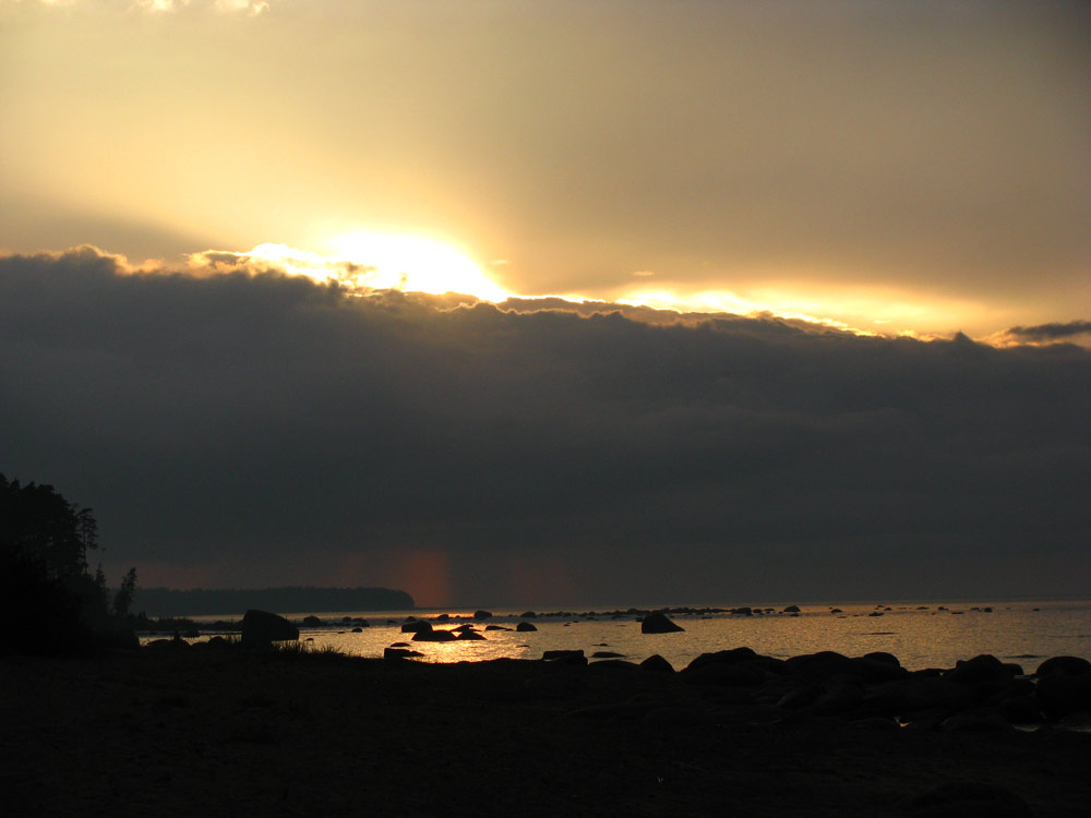 IMG_6656.jpg