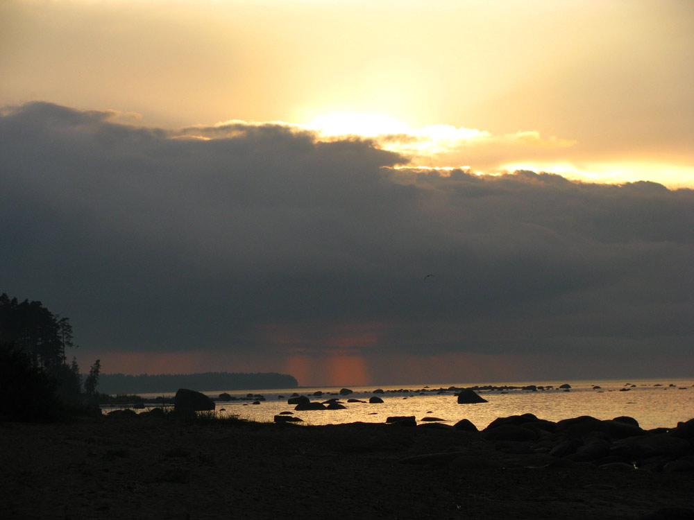 IMG_6661.jpg