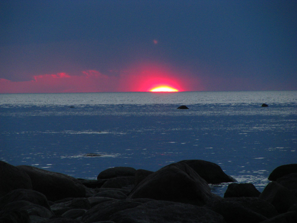 IMG_6877.jpg