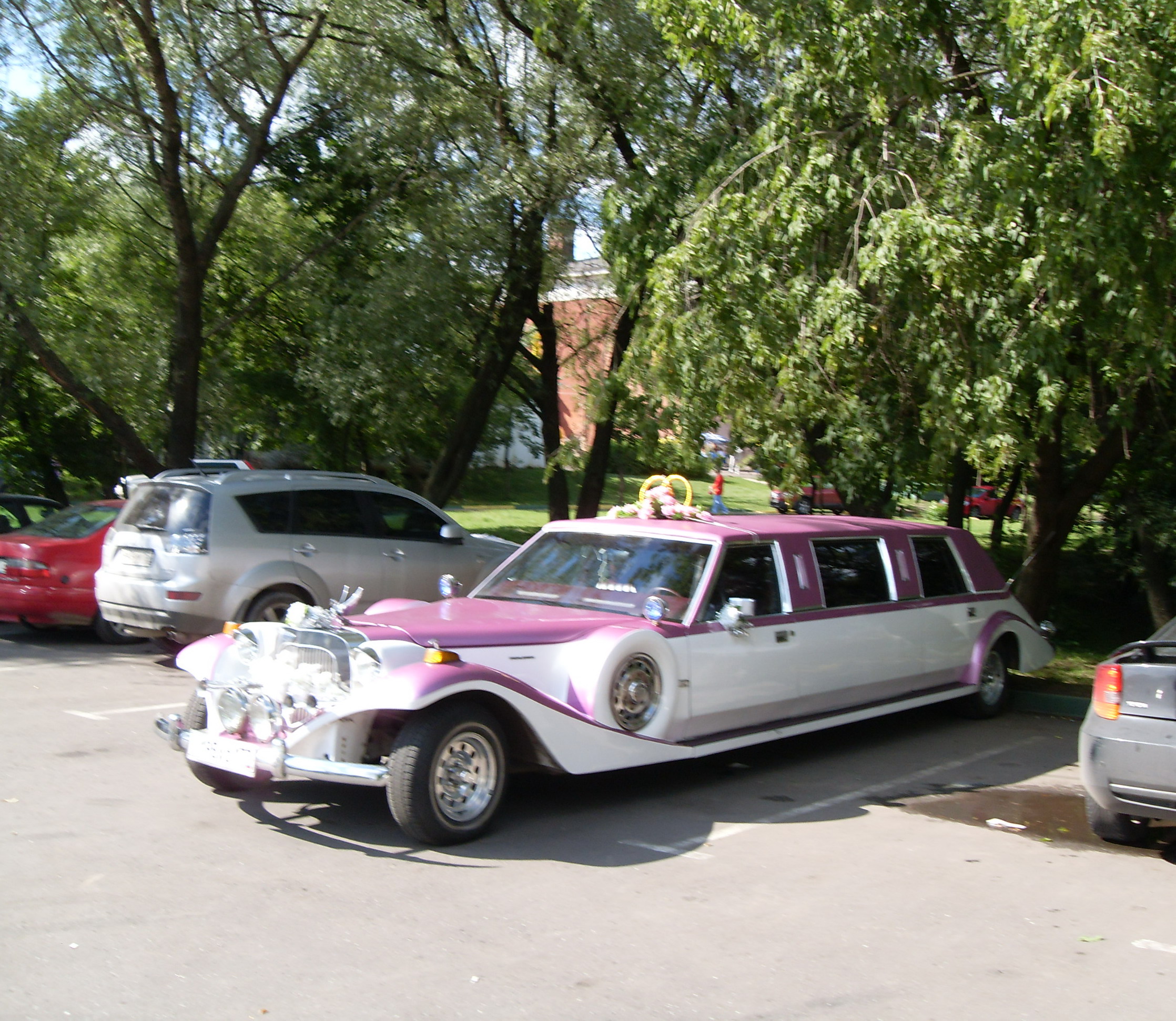 SDC10125.jpg