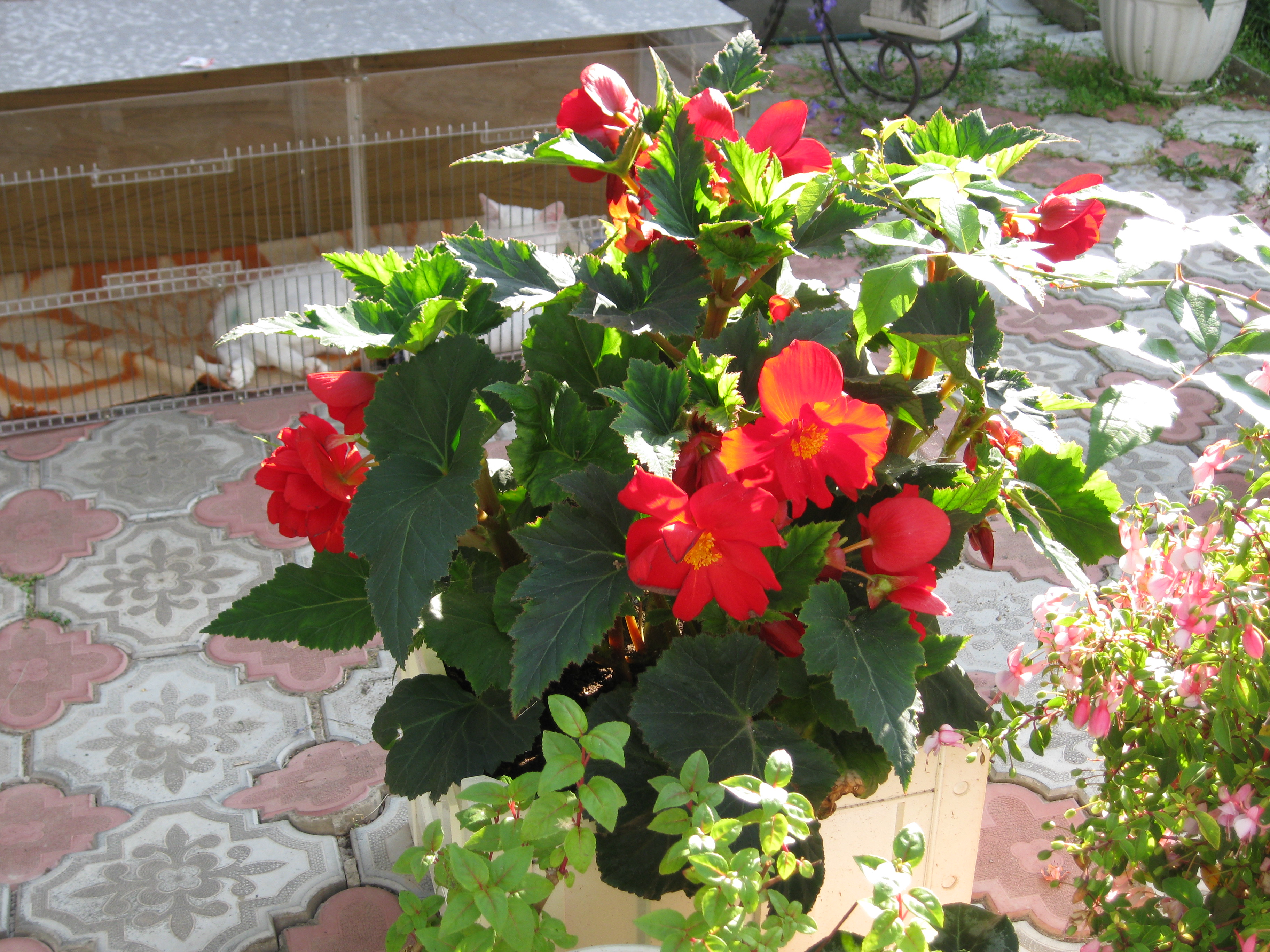 IMG_0030_1_.jpg