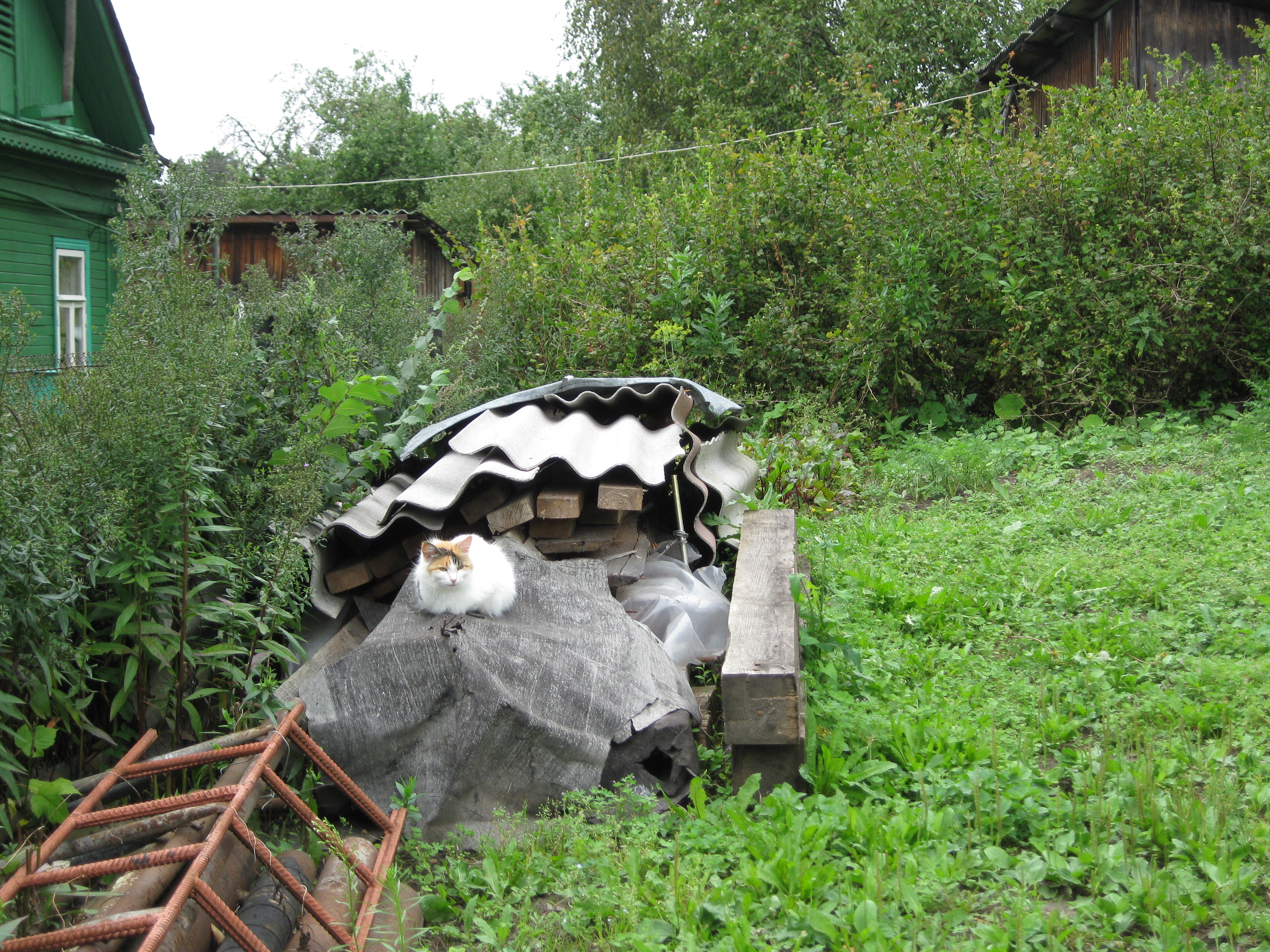 IMG_0093_1_.jpg