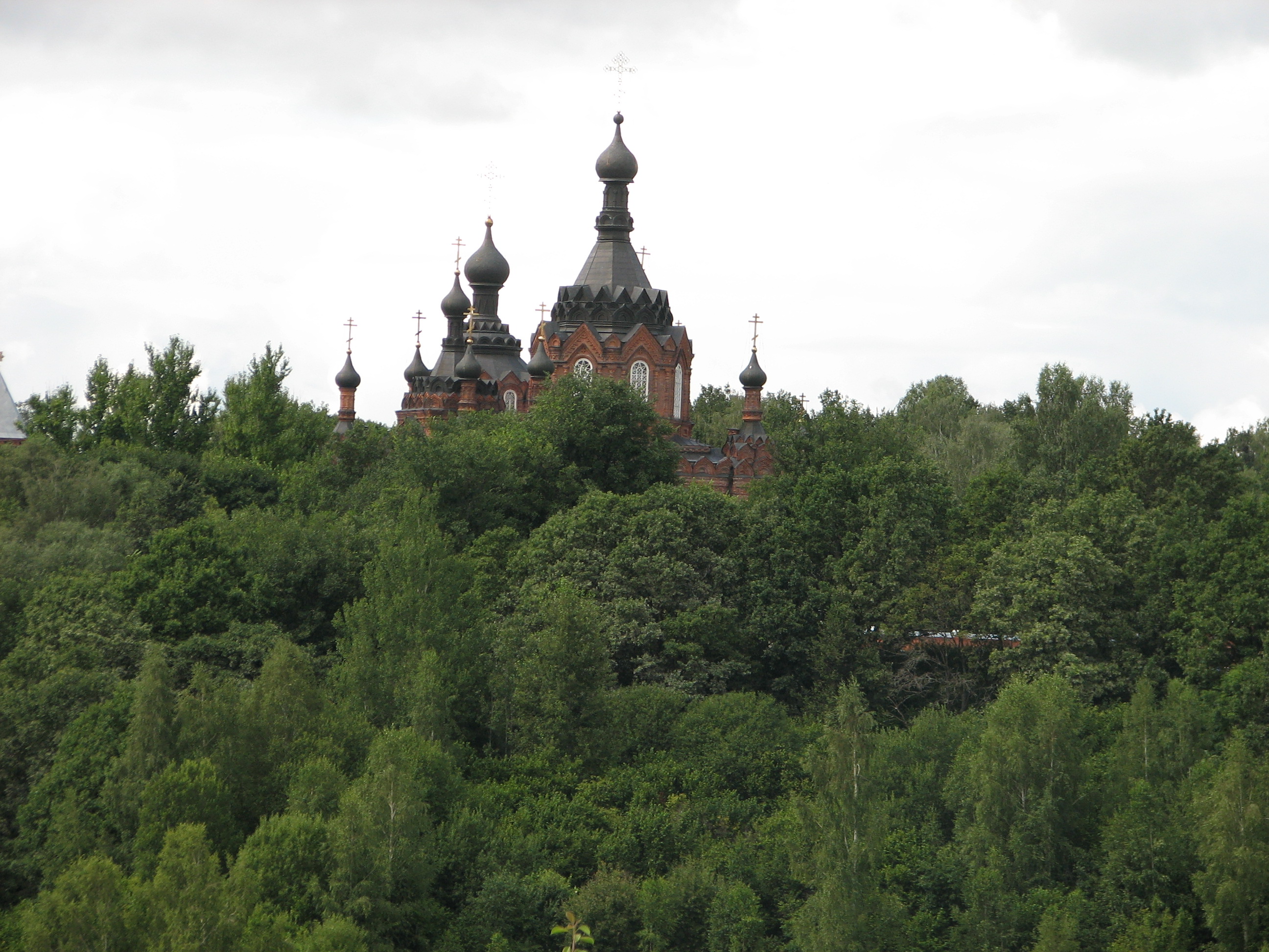 IMG_9432.jpg
