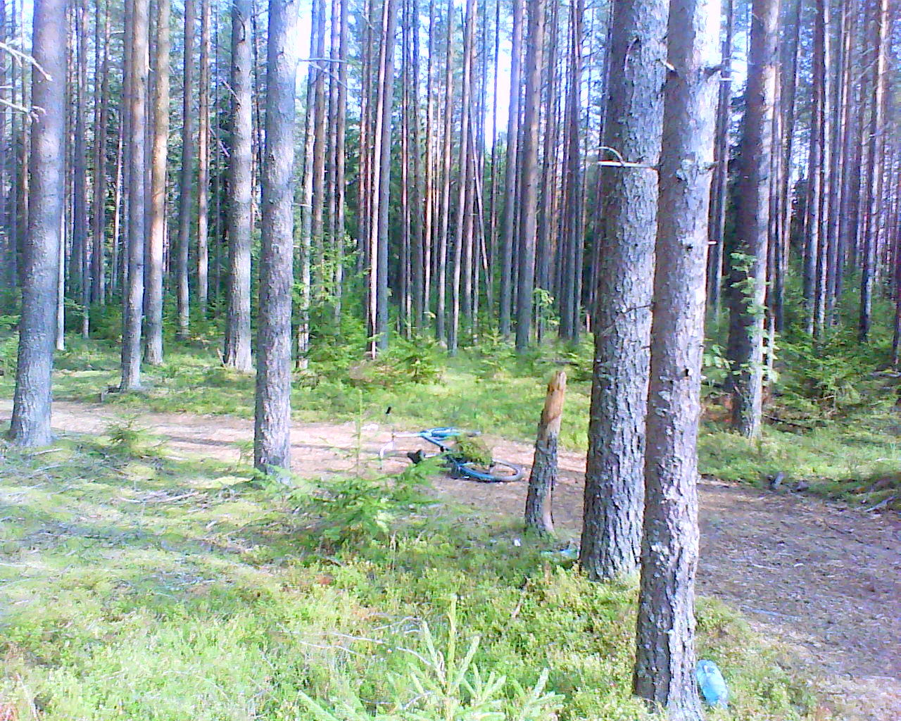 DSC04743.JPG