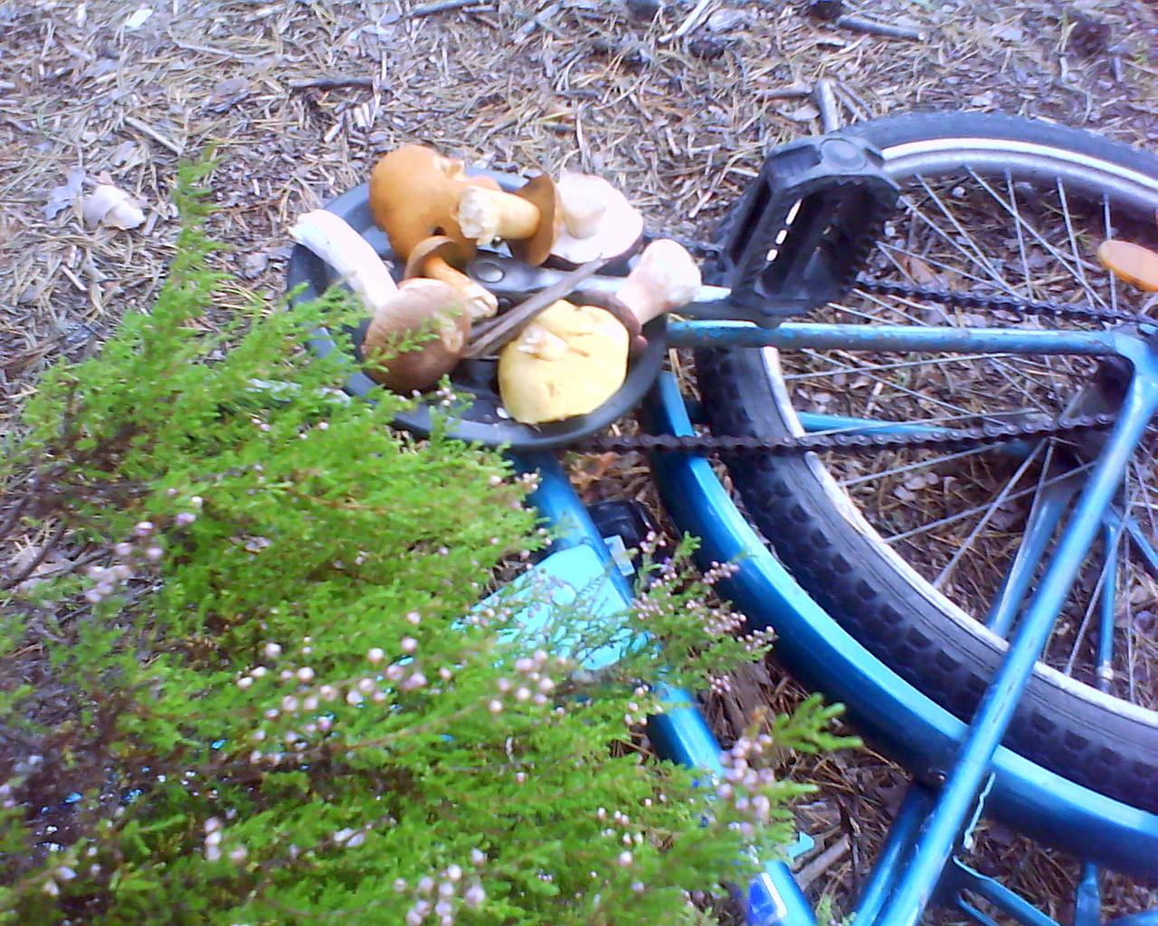 DSC04750.JPG