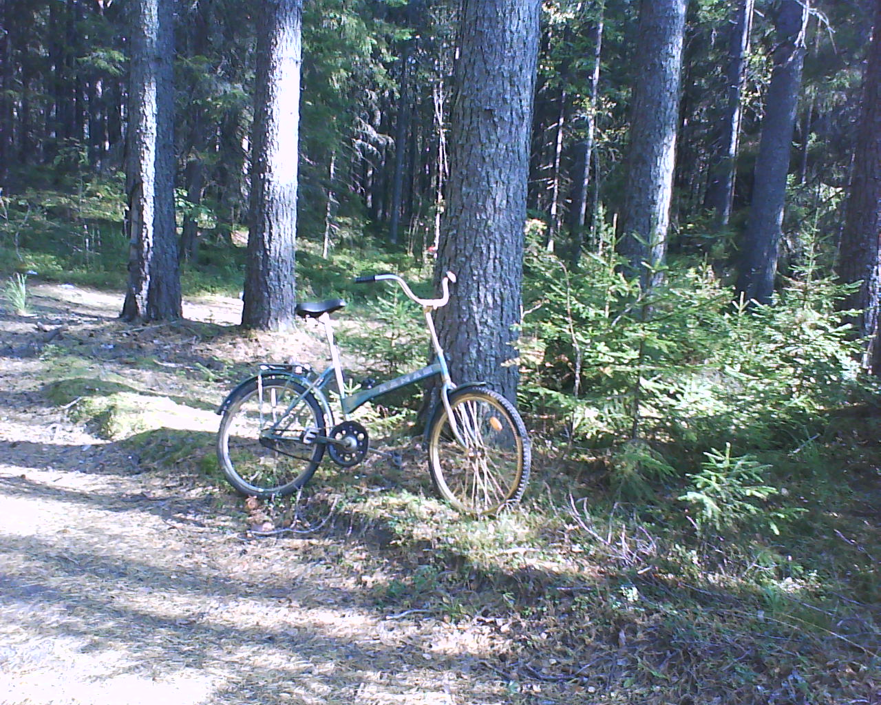 DSC04783.JPG