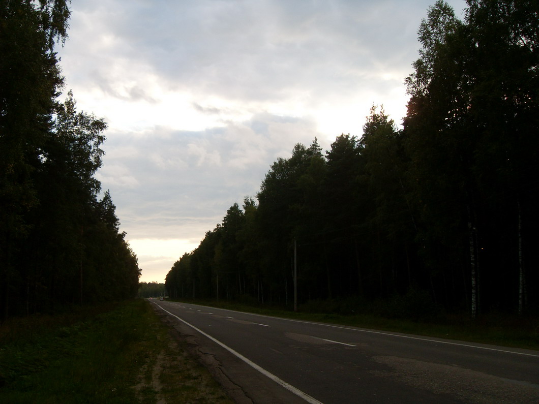 SDC14569.jpg