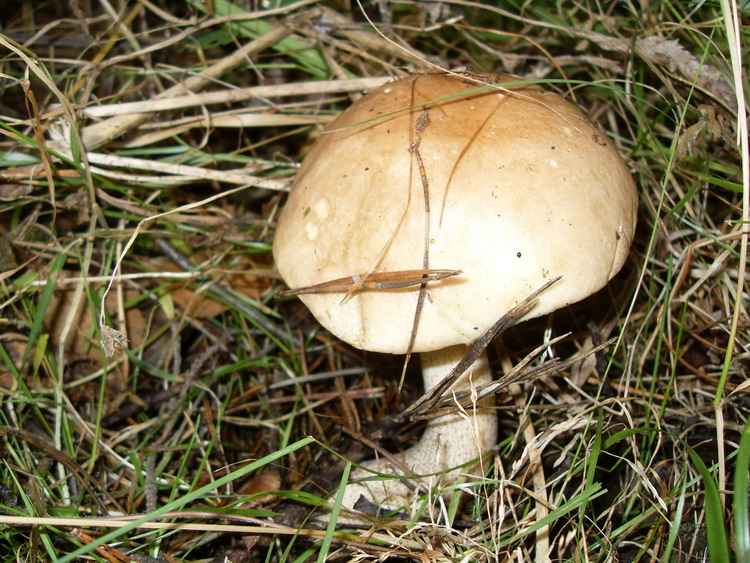 SDC14564.jpg