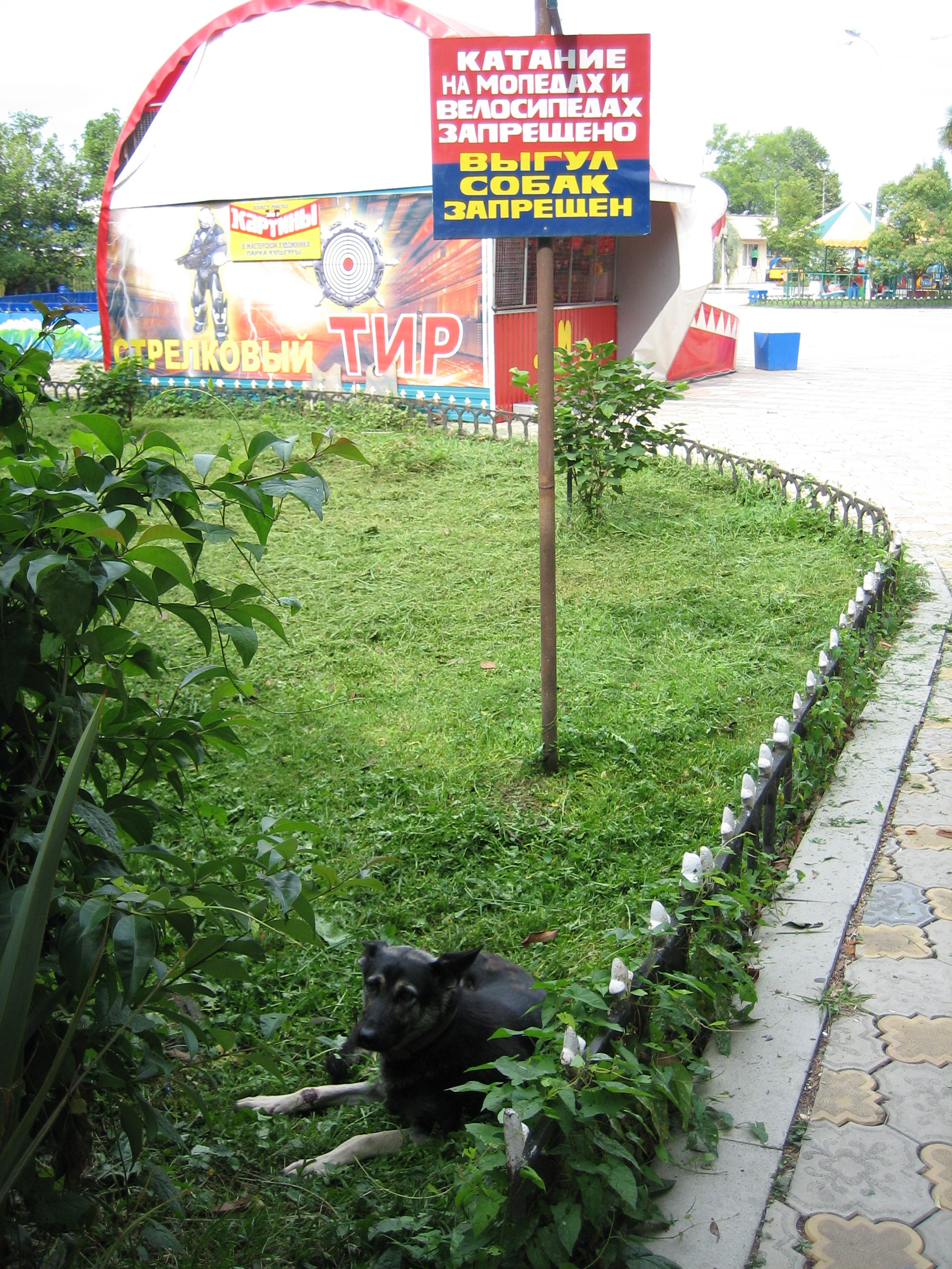 _____2009_012.jpg