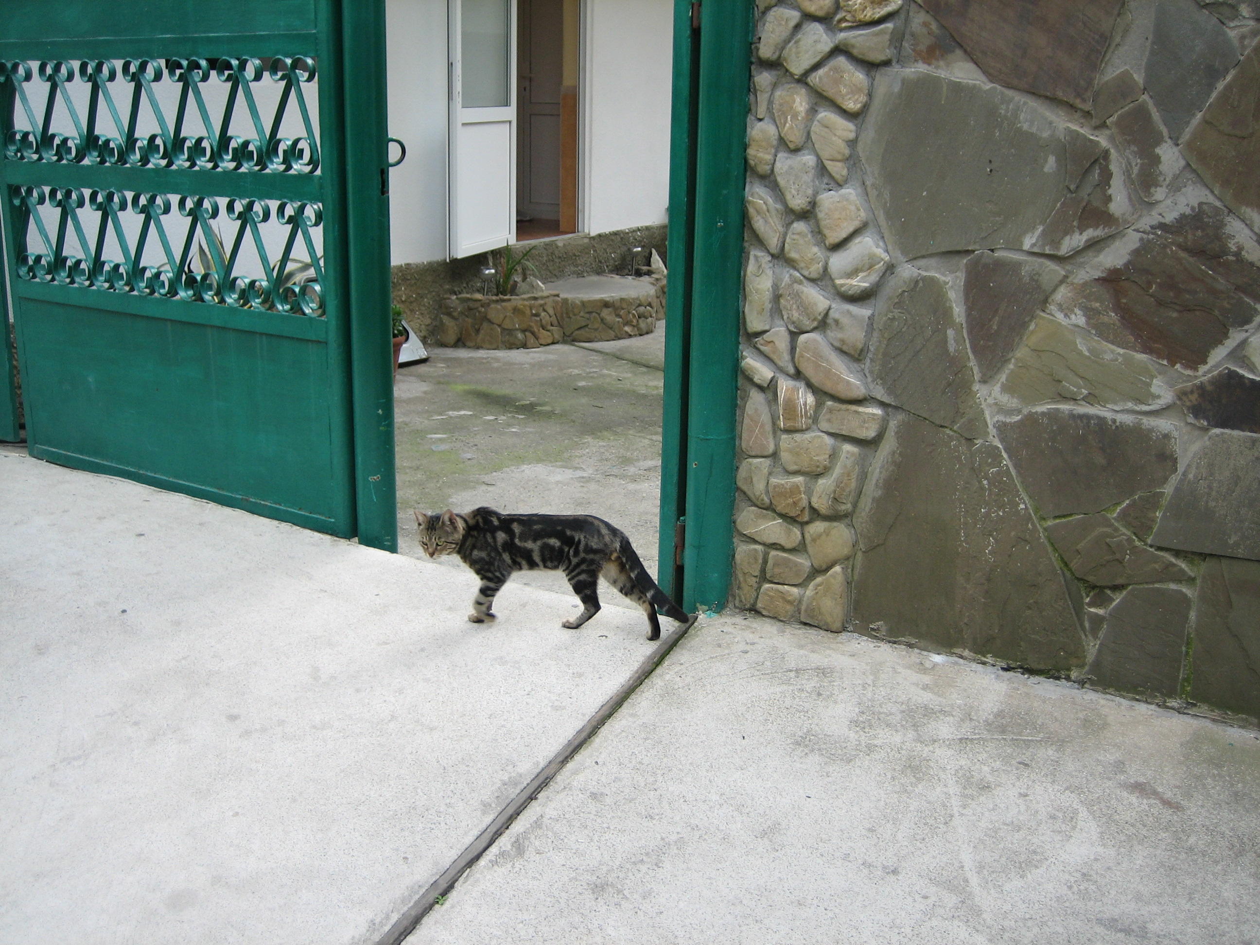 _____2009_006.jpg