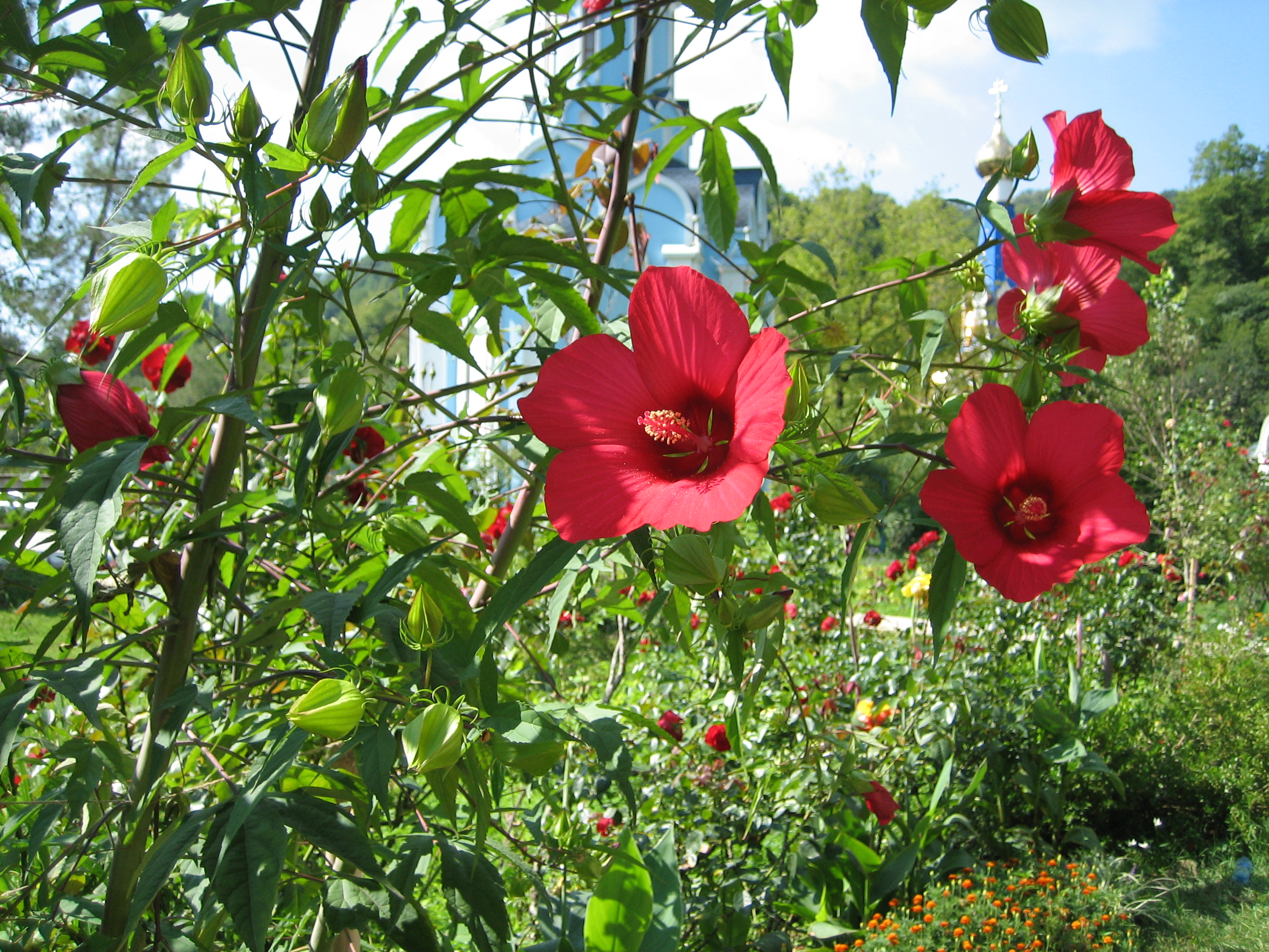 _____2009_1_______048.jpg