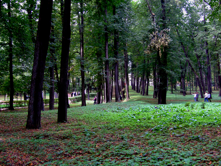 DSCF7792.jpg