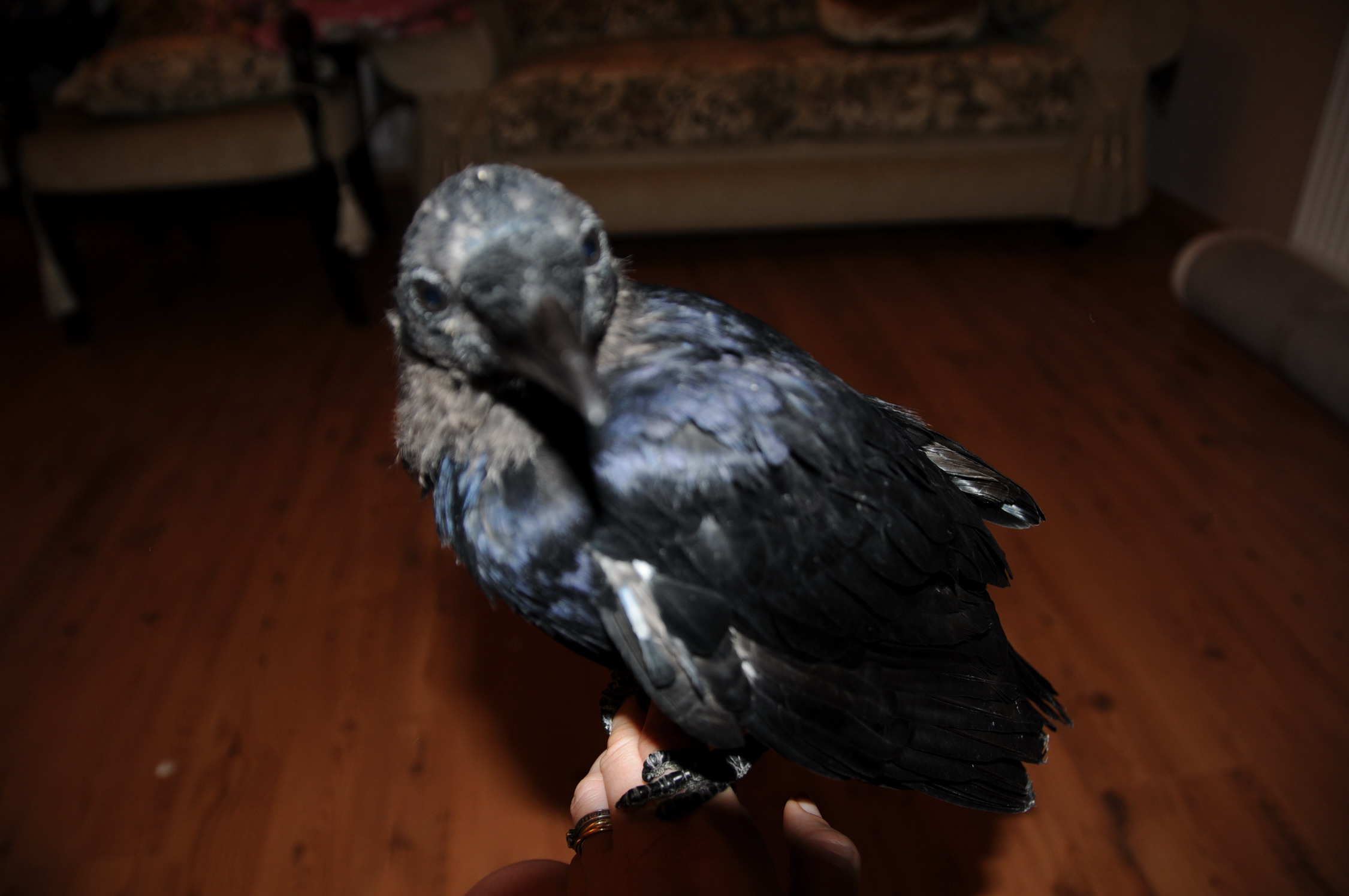 DSC_0341.JPG