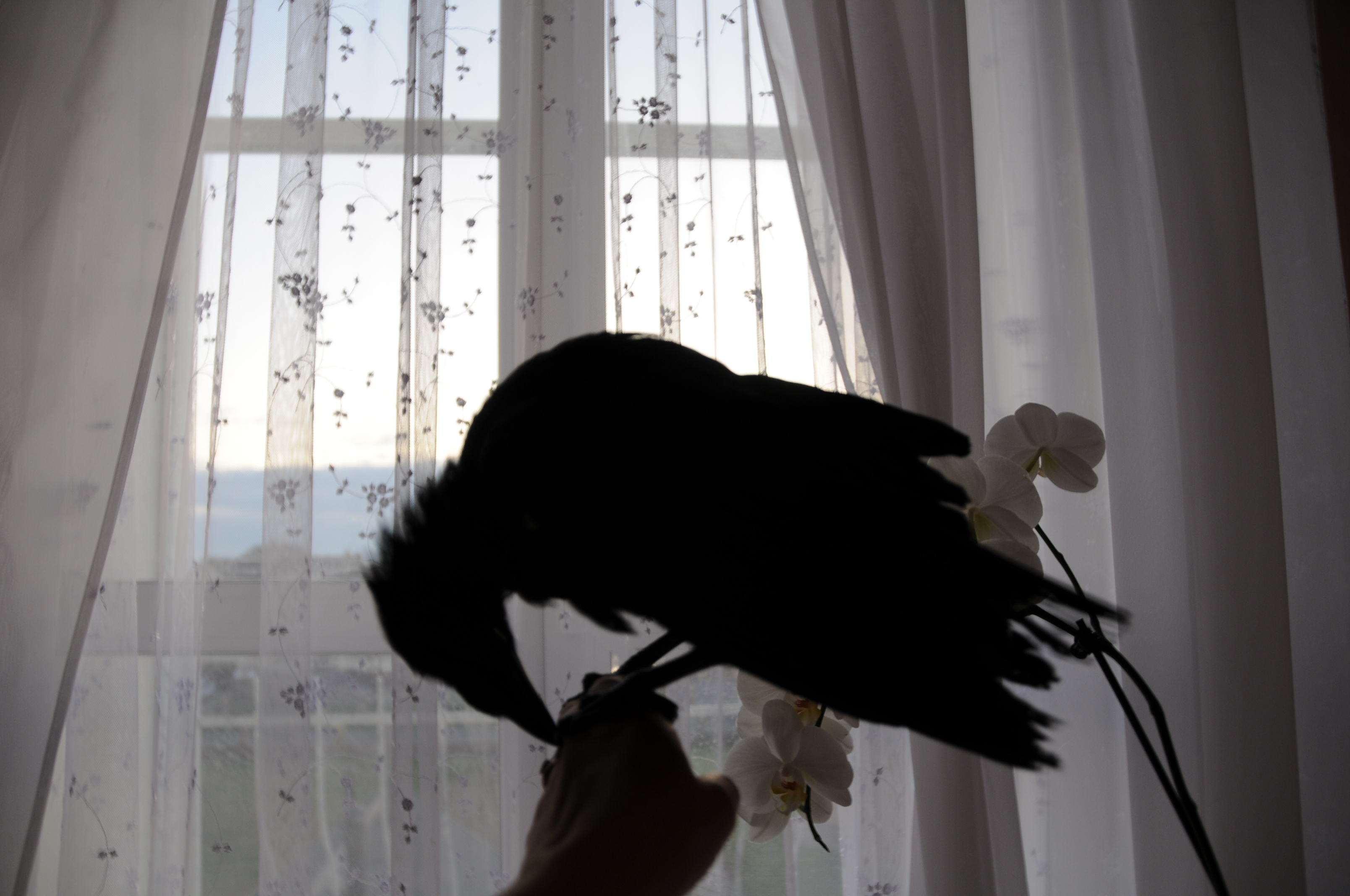 DSC_0381.JPG