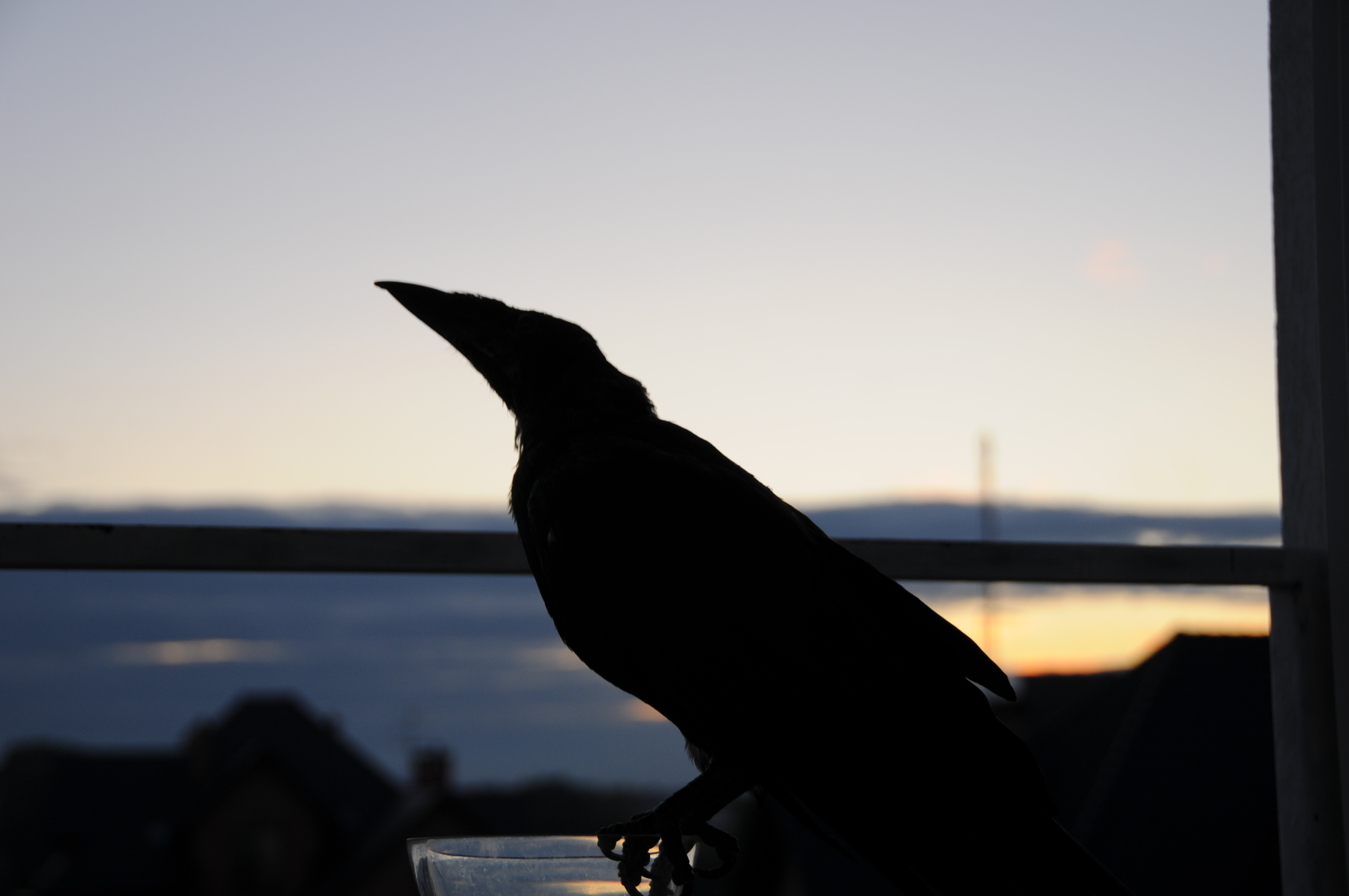 DSC_0371.JPG
