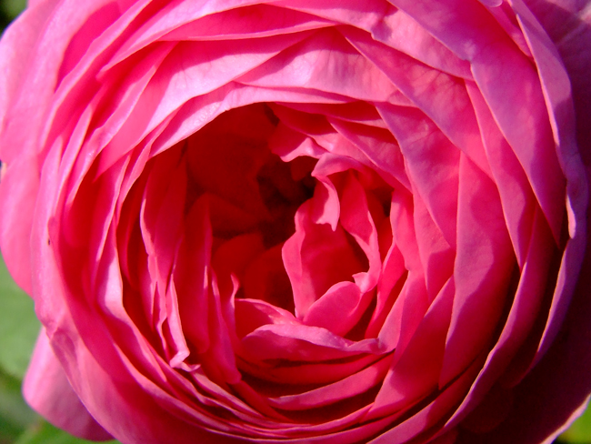 DSCF7416.jpg