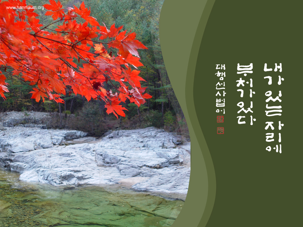 Maple01_1024.JPG