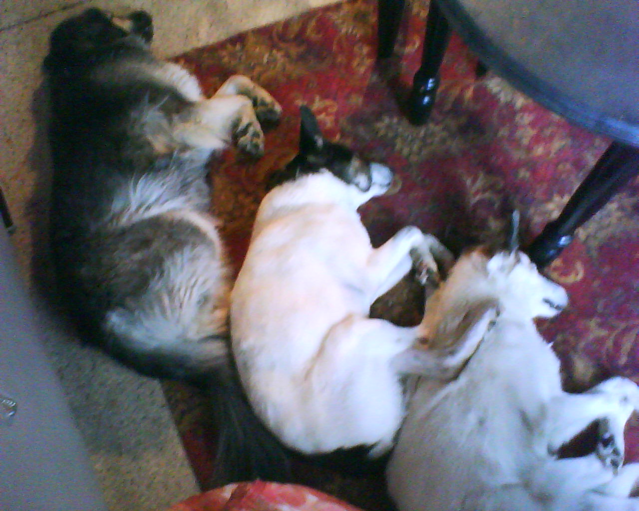 DSC04863.JPG