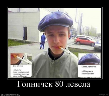 311687.jpg