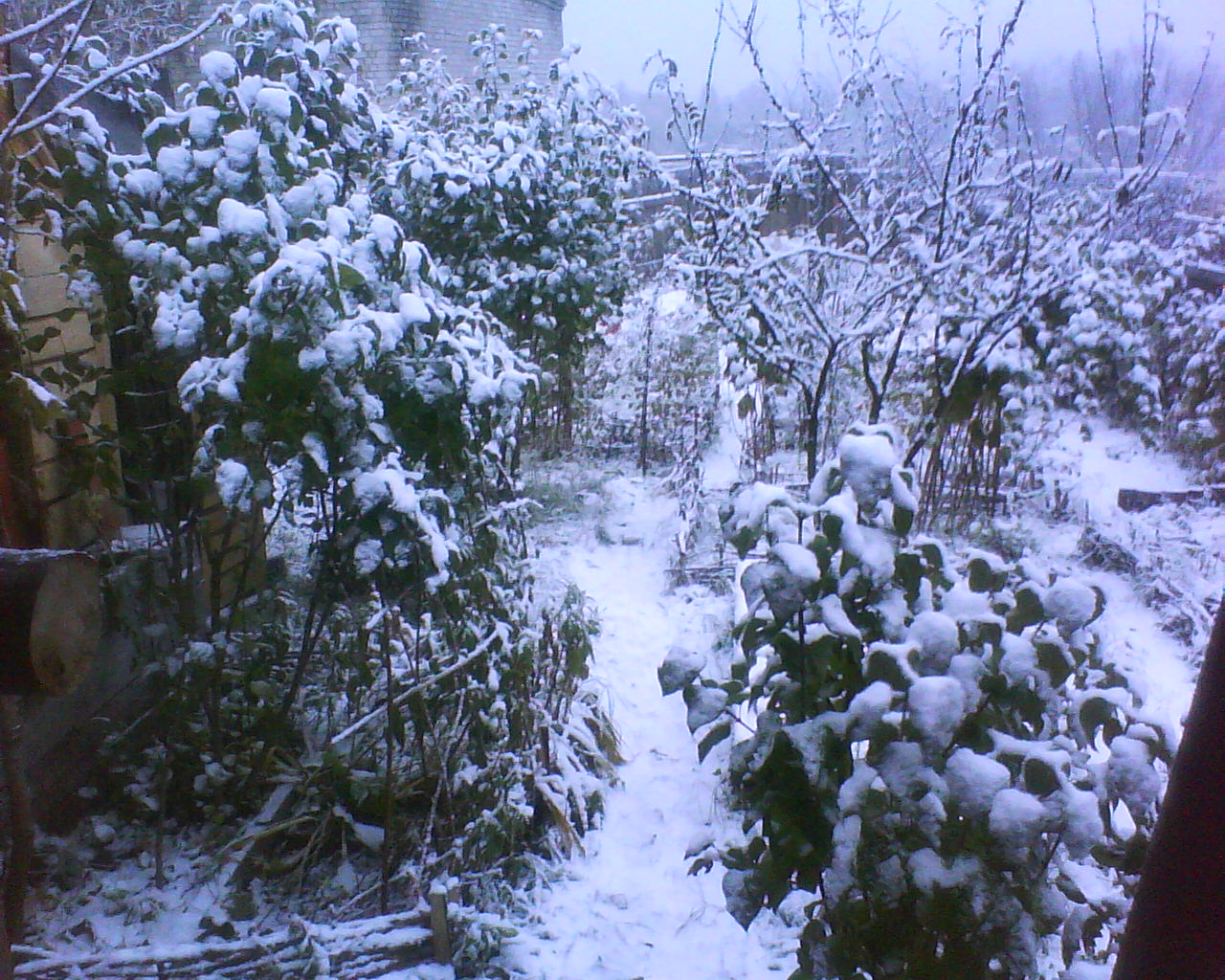 DSC04868.JPG