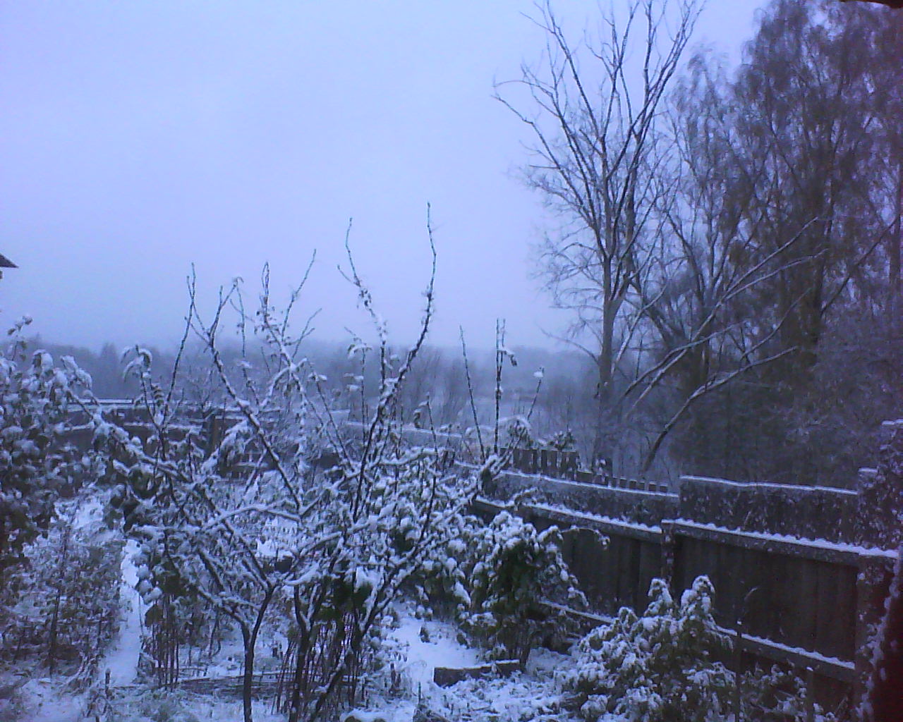 DSC04870.JPG