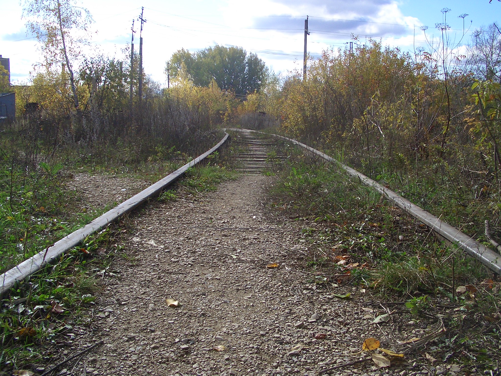 CIMG1267.JPG