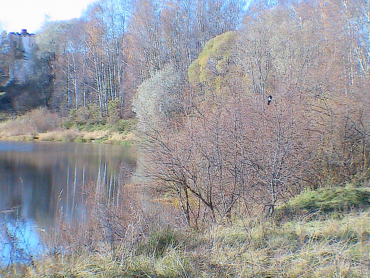 HPNX5884.JPG