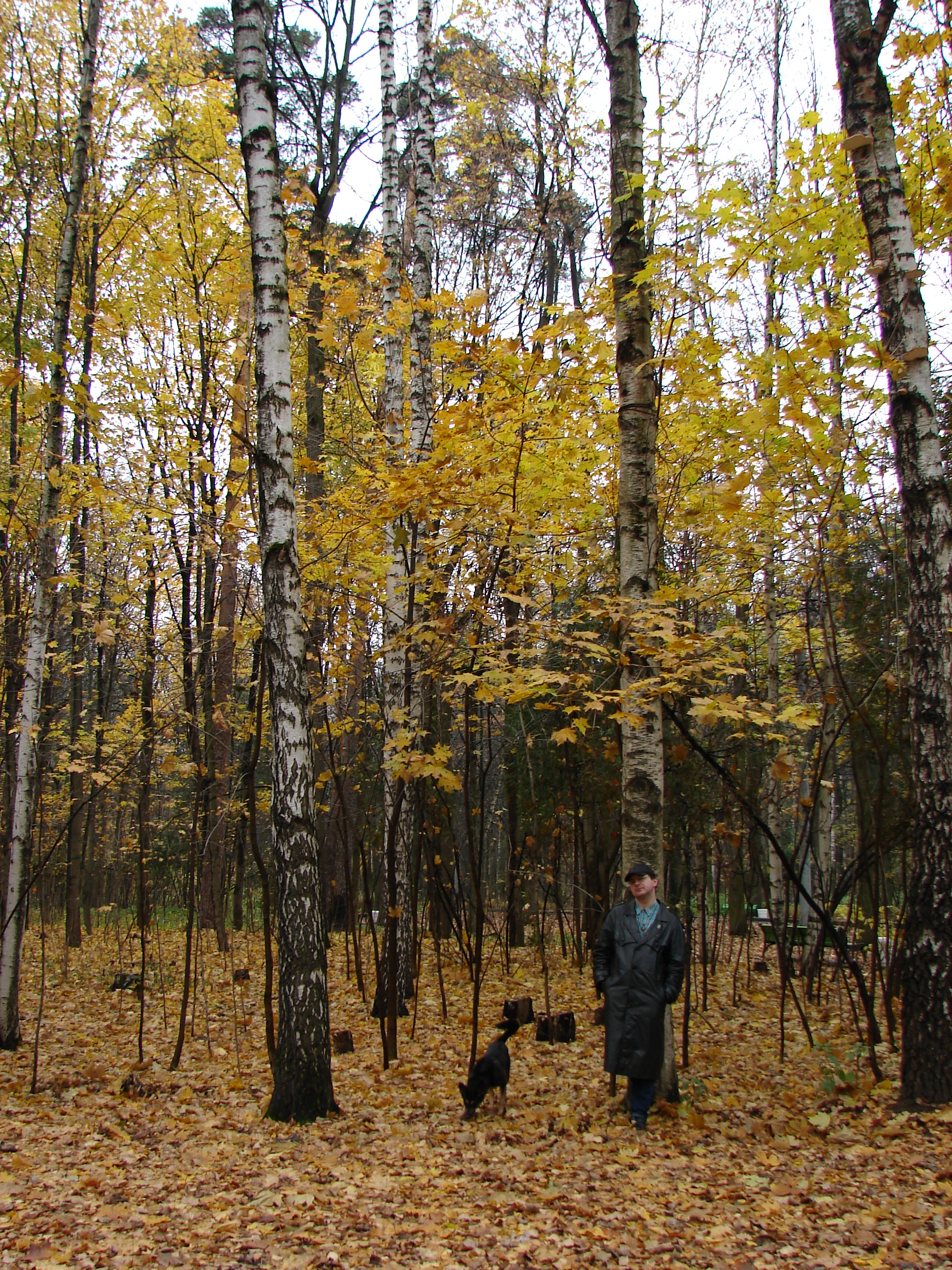 DSC09139.JPG