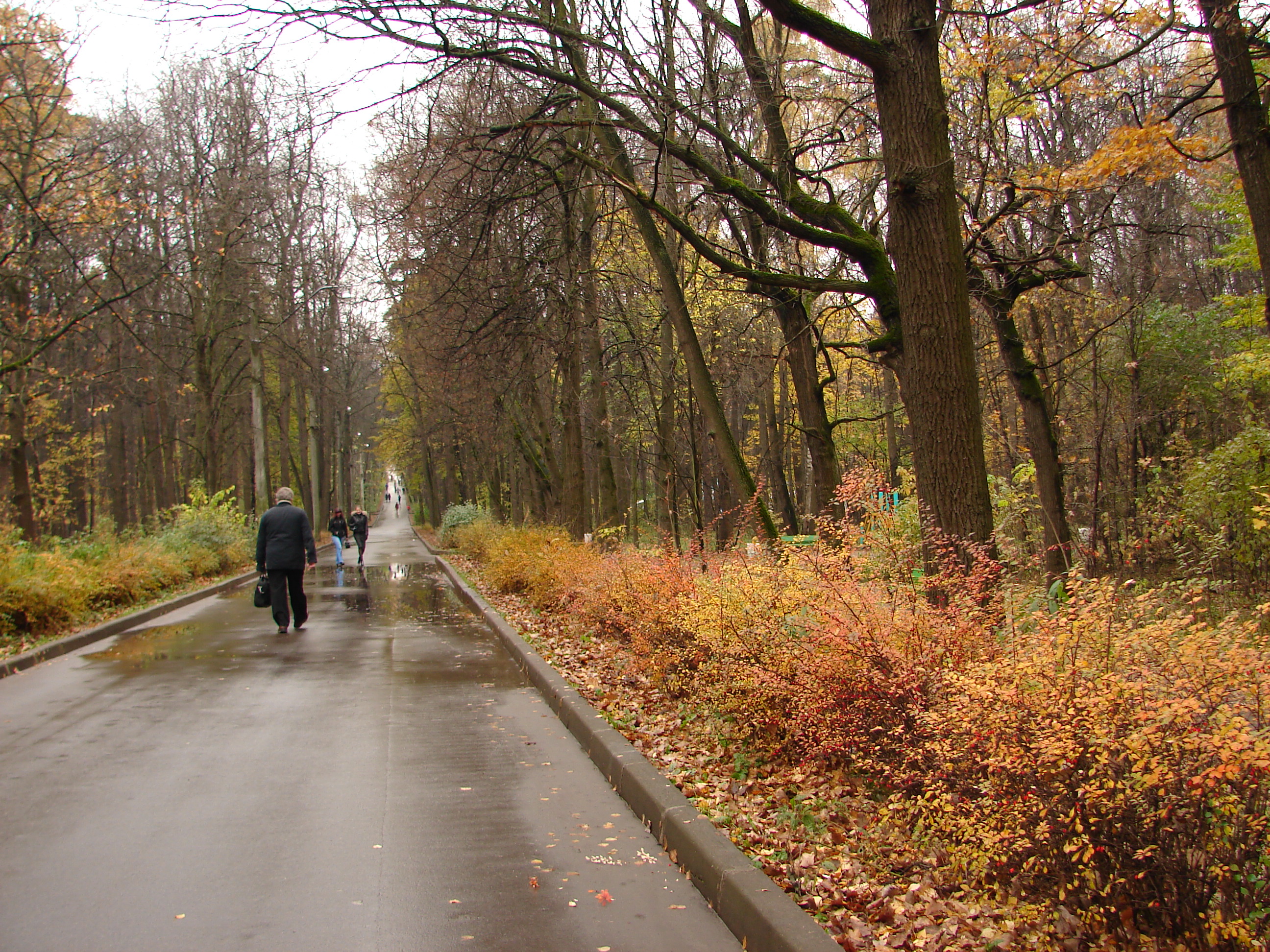 DSC09174.JPG