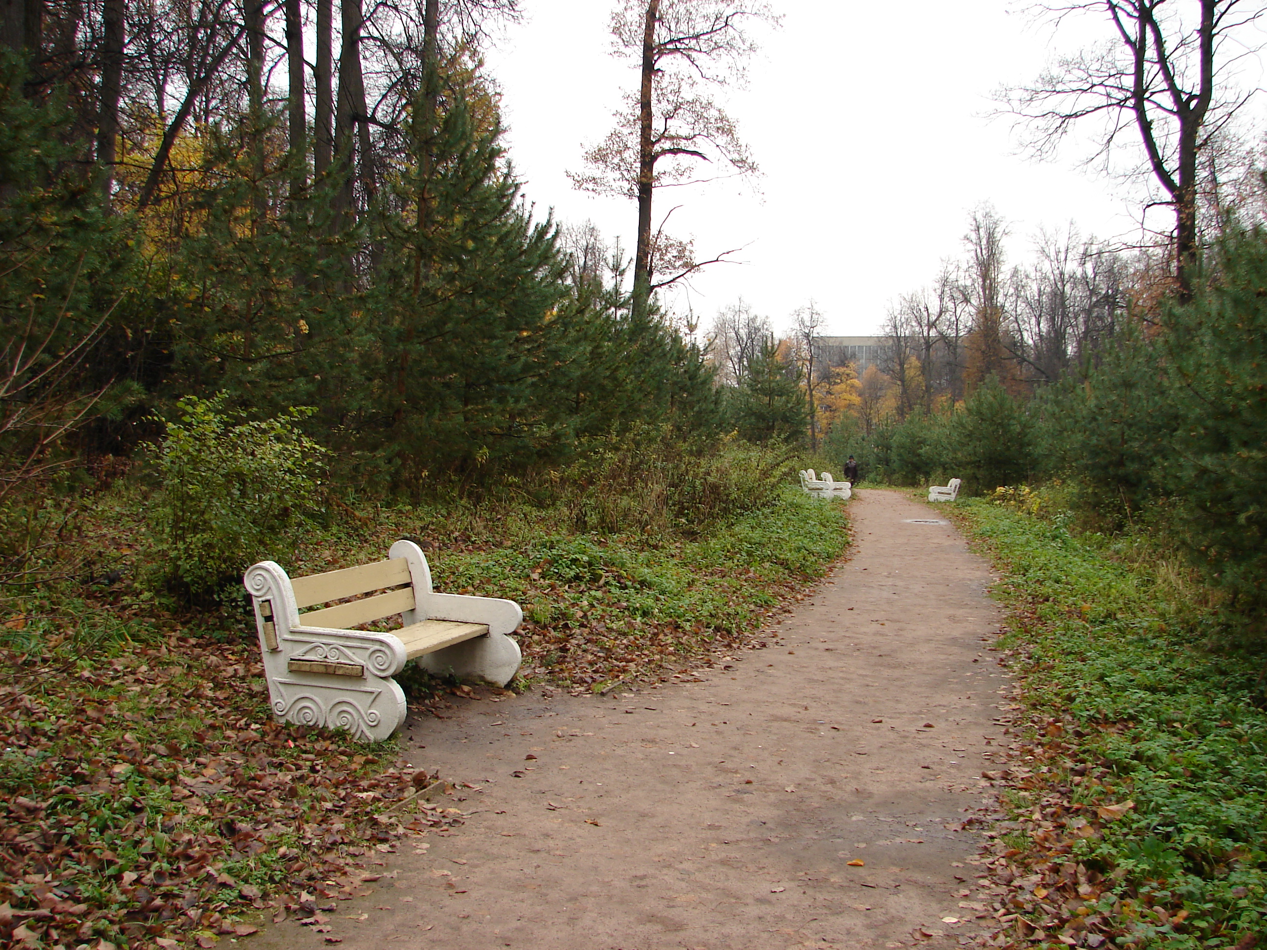 DSC09143.JPG